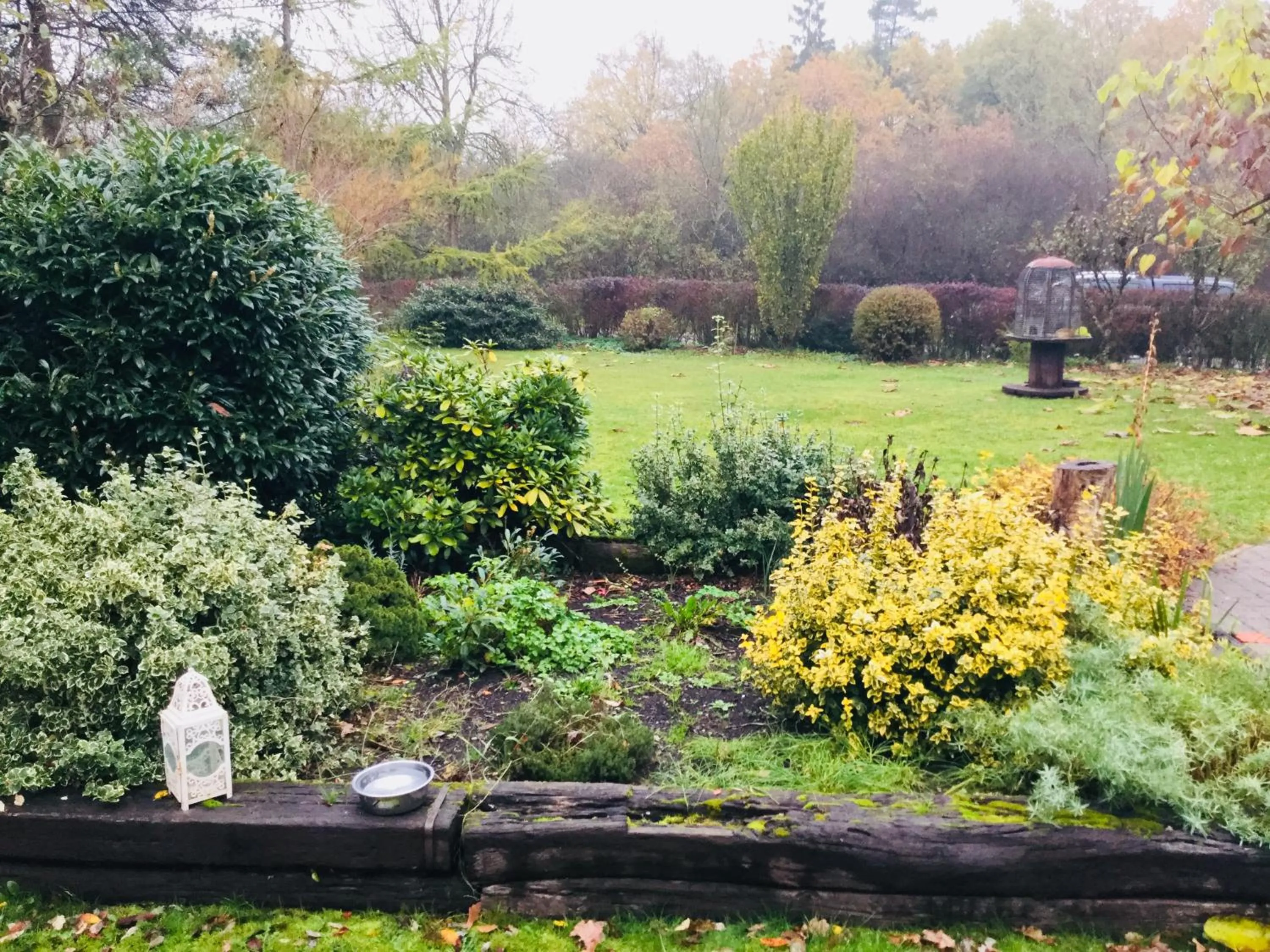 Garden in Le jardin des Biches