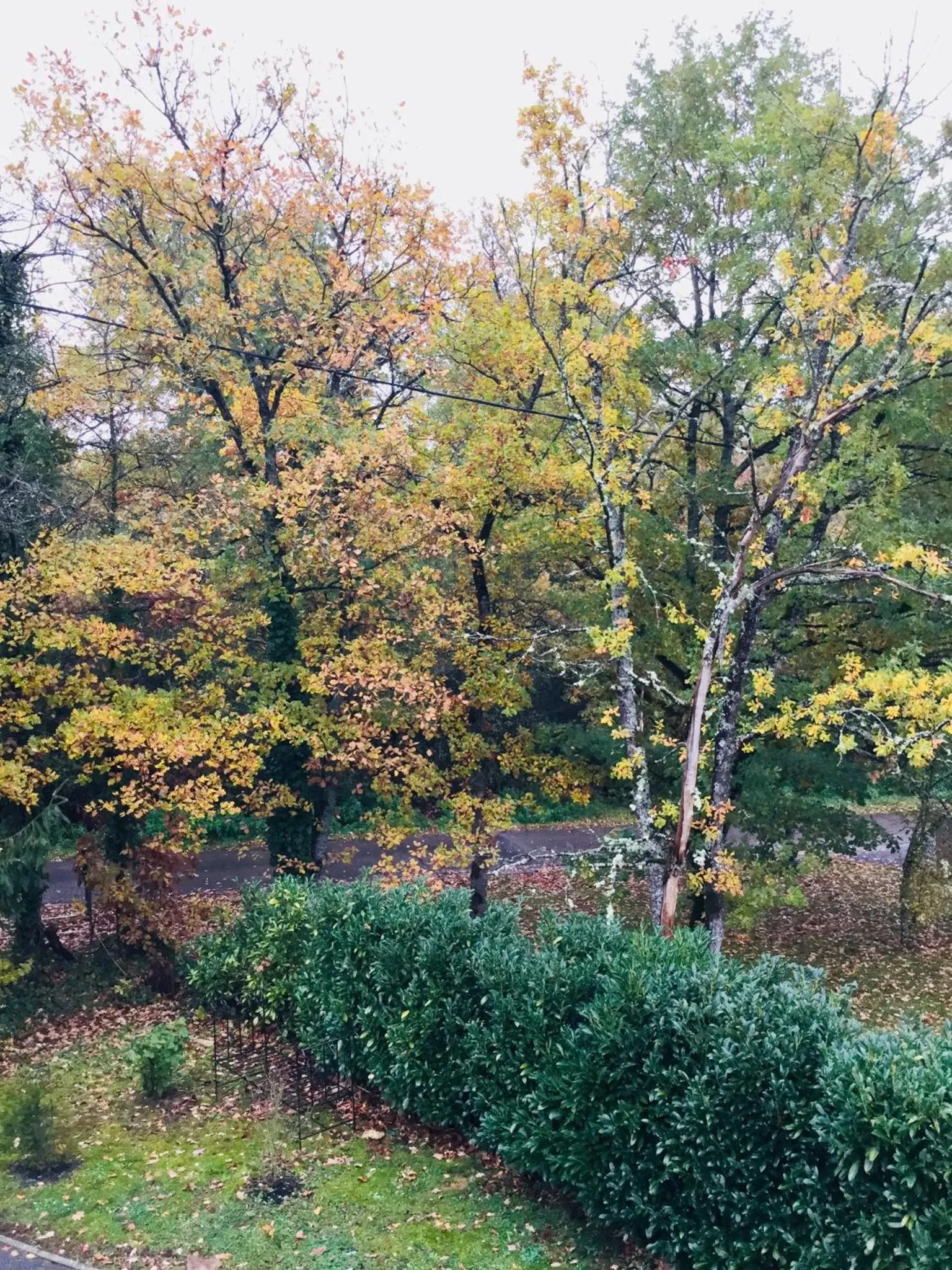 Garden in Le jardin des Biches