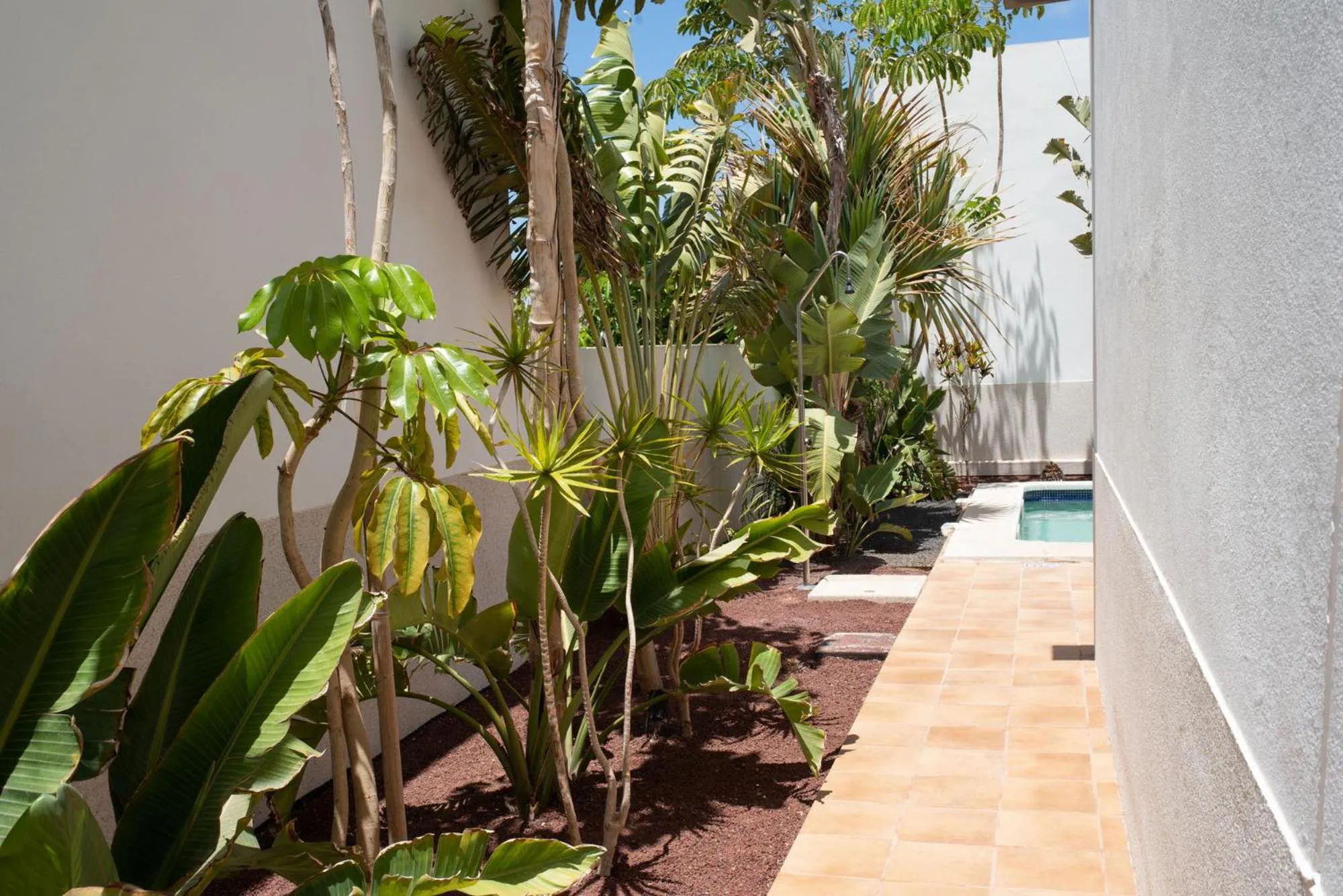 Garden in Villas de la Marina