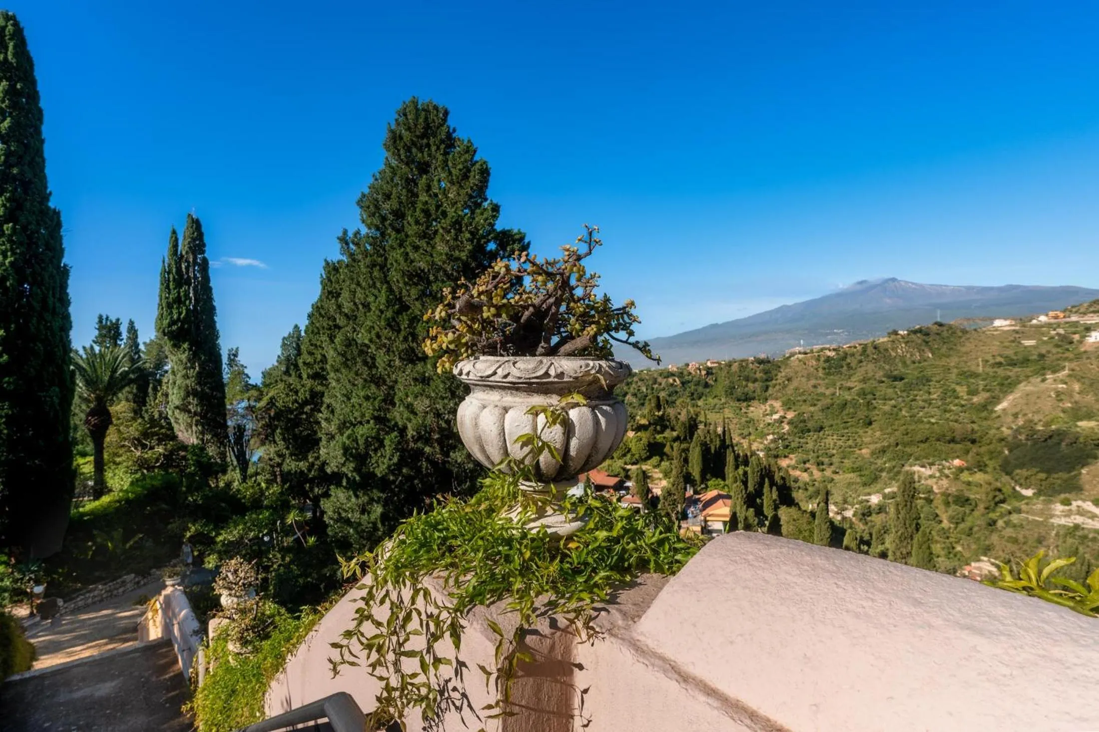 Garden in Excelsior Palace Hotel