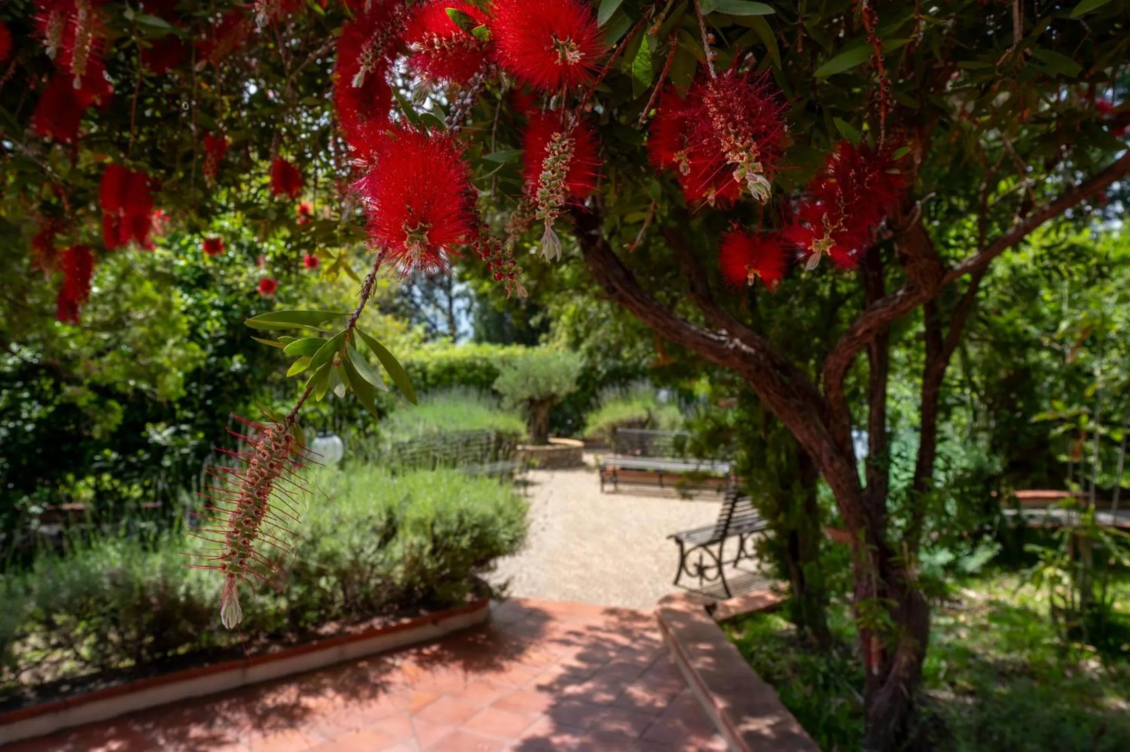 Day in Excelsior Palace Hotel