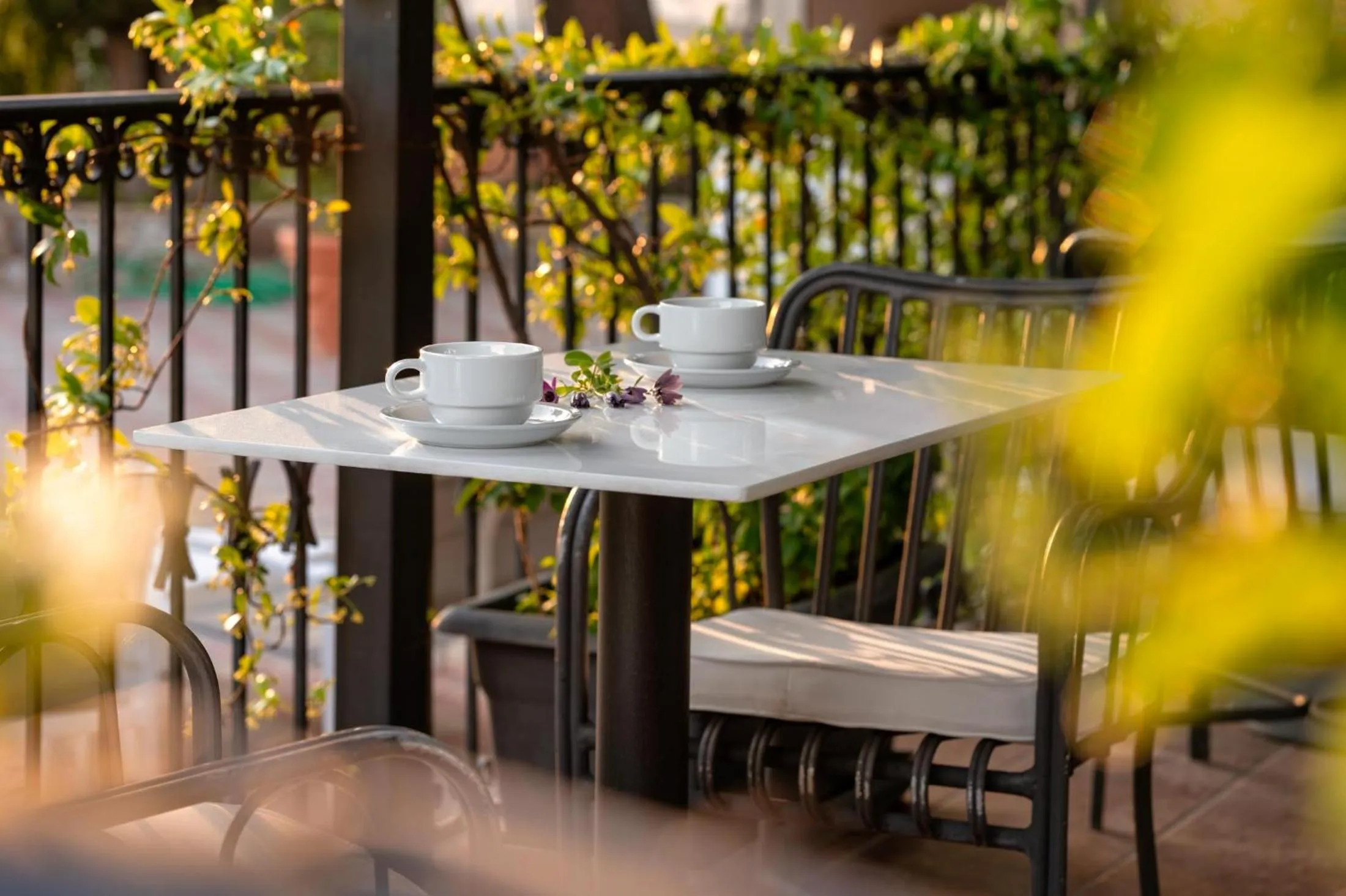 Restaurant/places to eat in Excelsior Palace Hotel