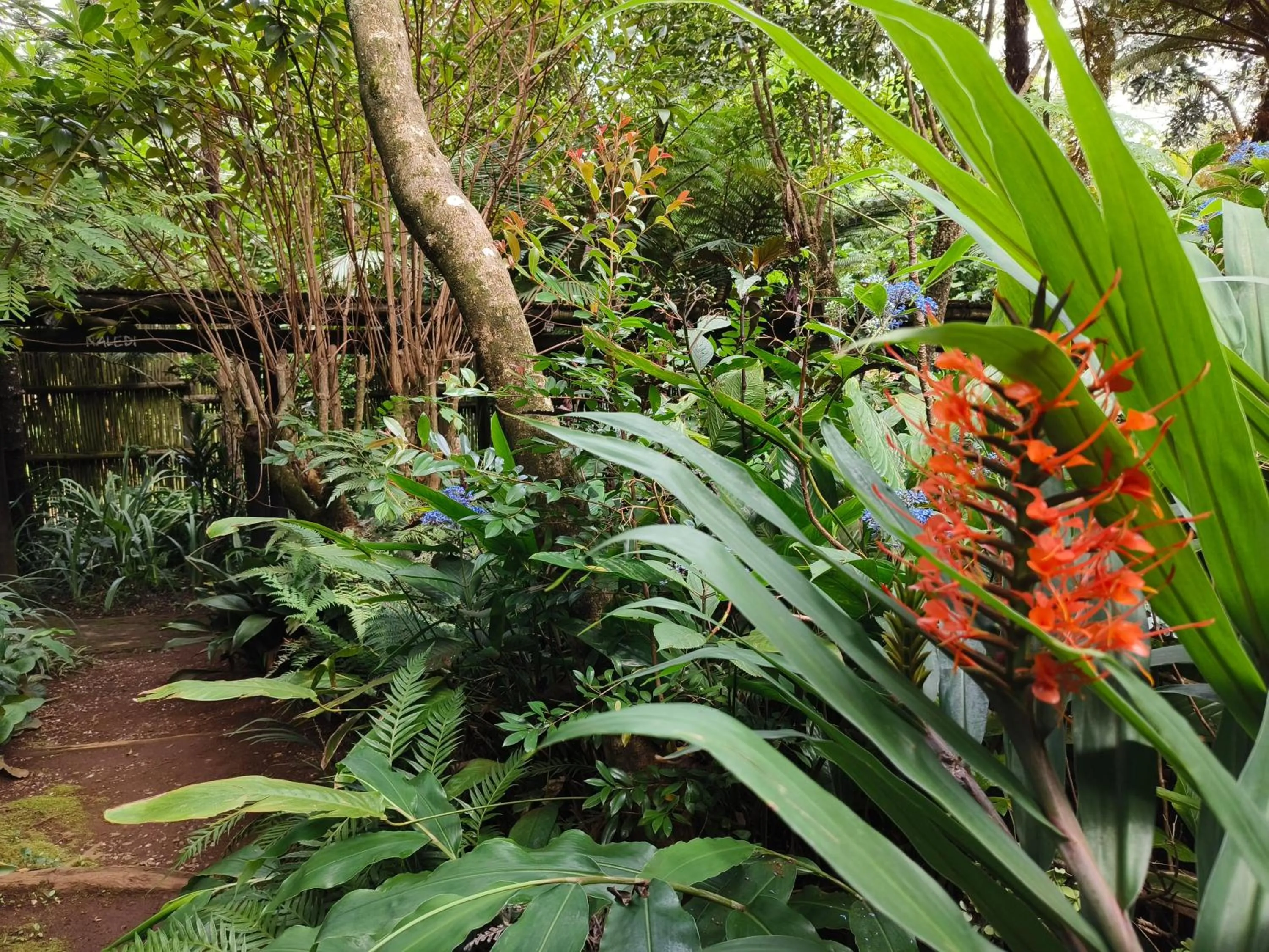 Dar Amane Guest House