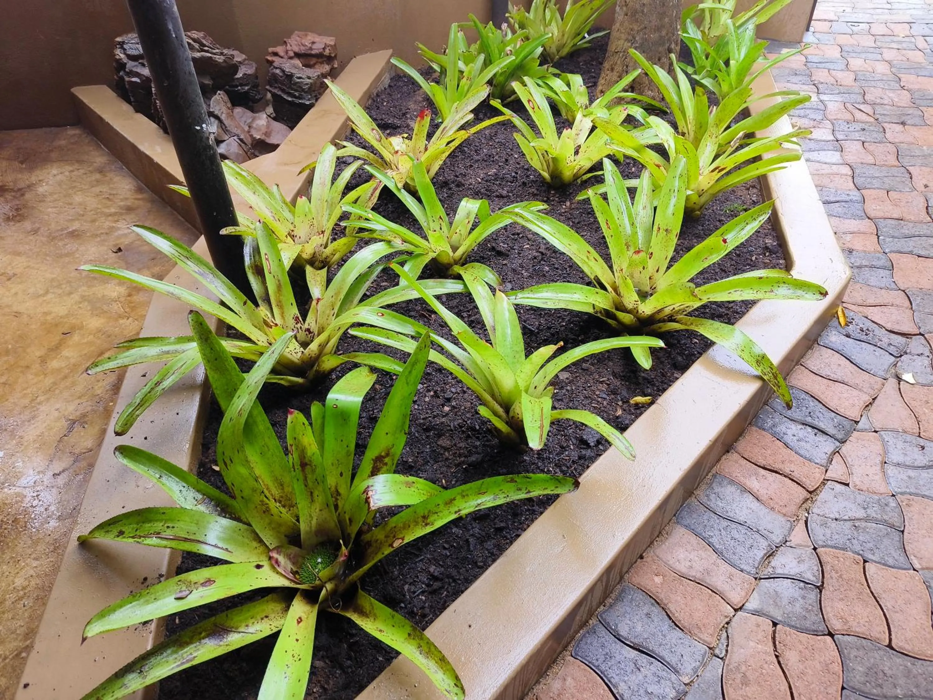 Dar Amane Guest House