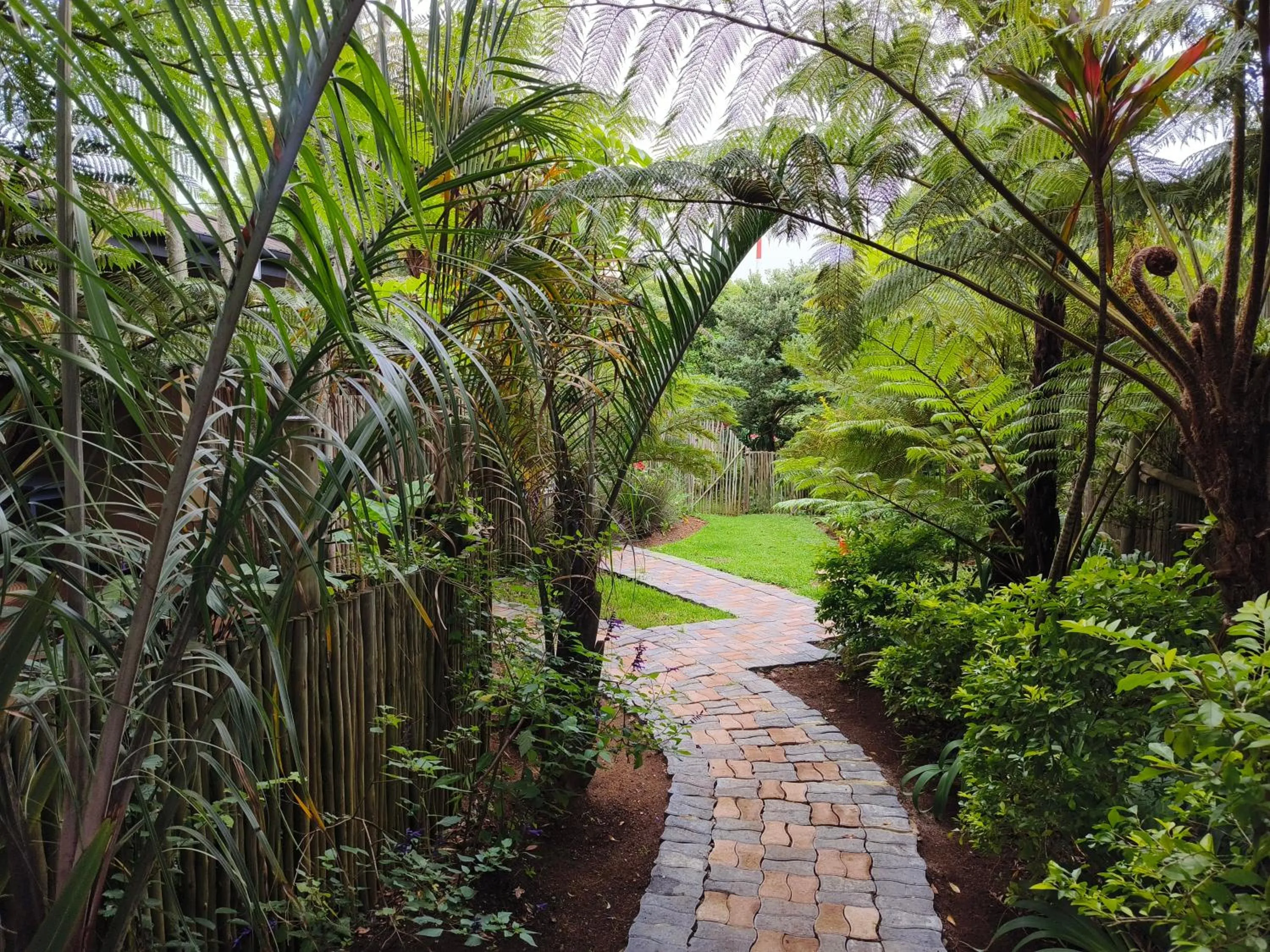 Dar Amane Guest House