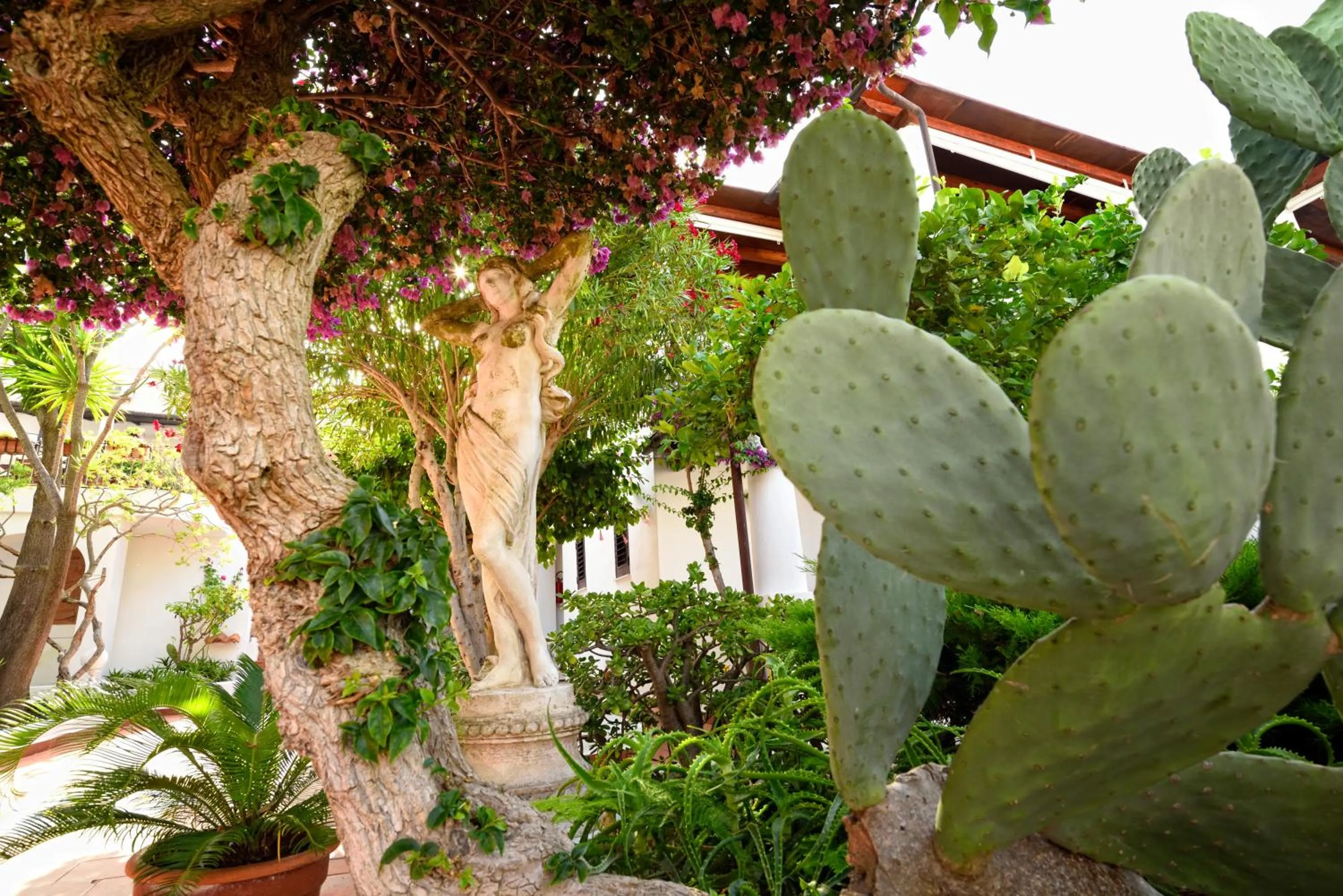 Garden in Gattopardo Park Hotel