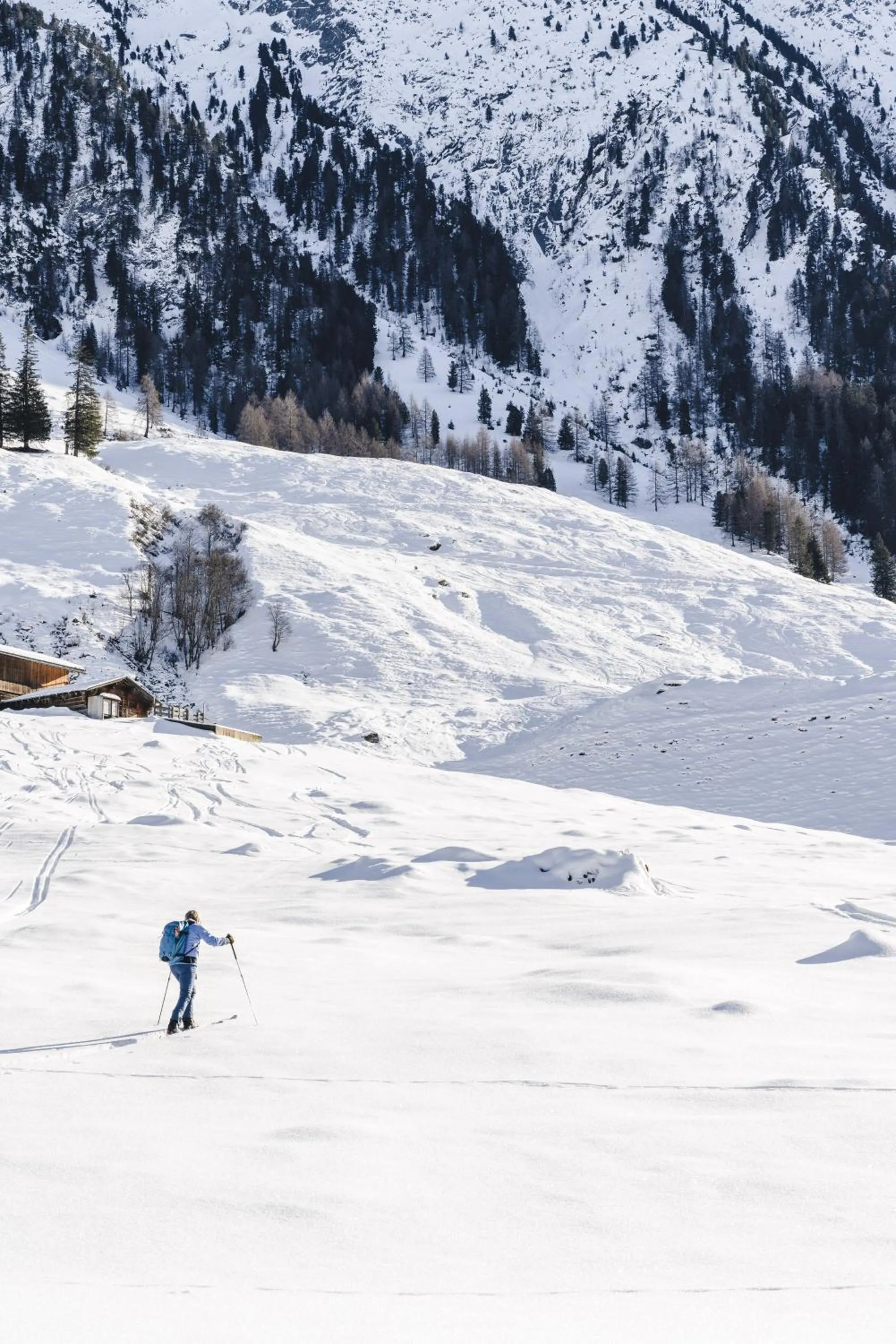 Traumhotel Alpina Superior