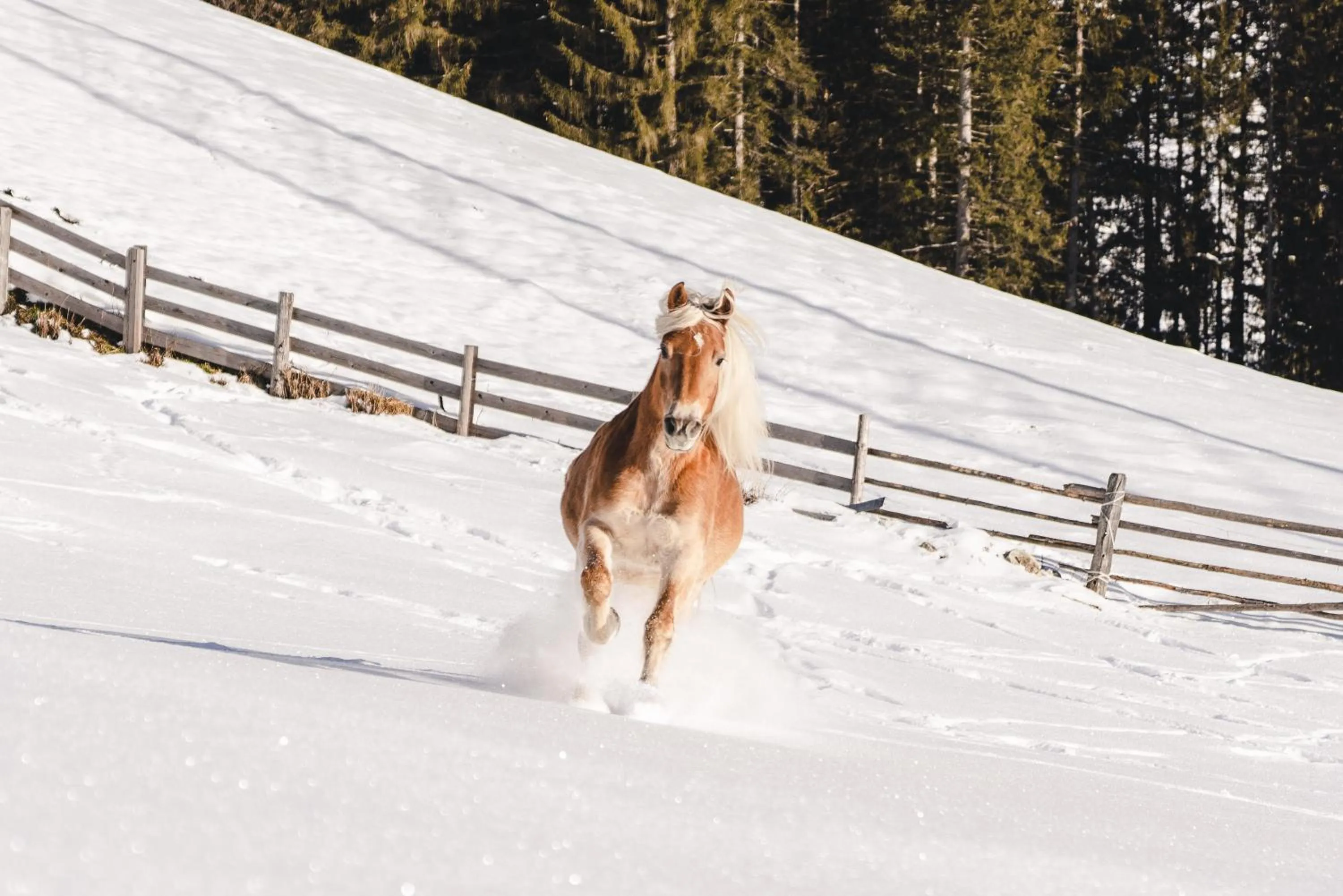 Traumhotel Alpina Superior