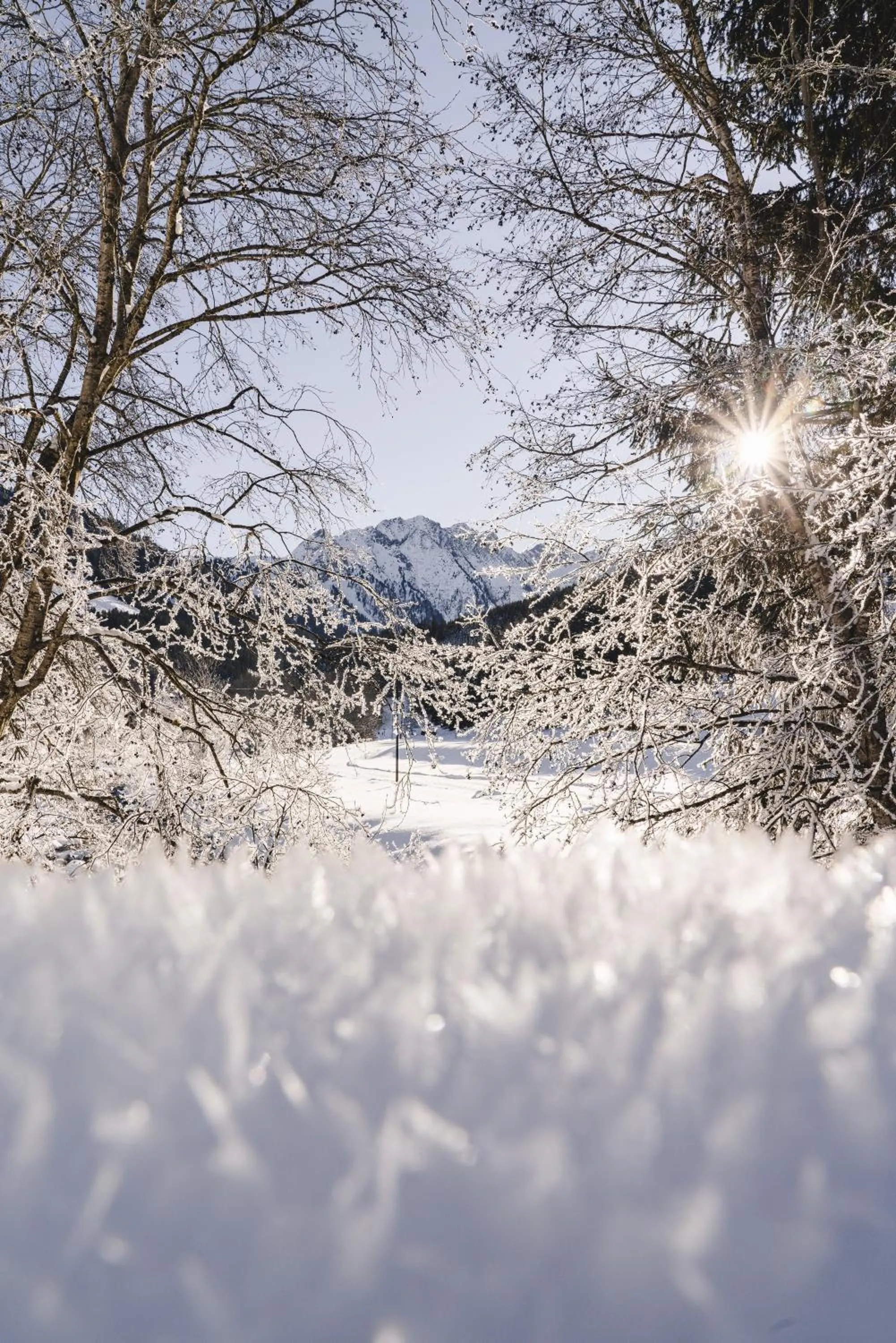 Traumhotel Alpina Superior