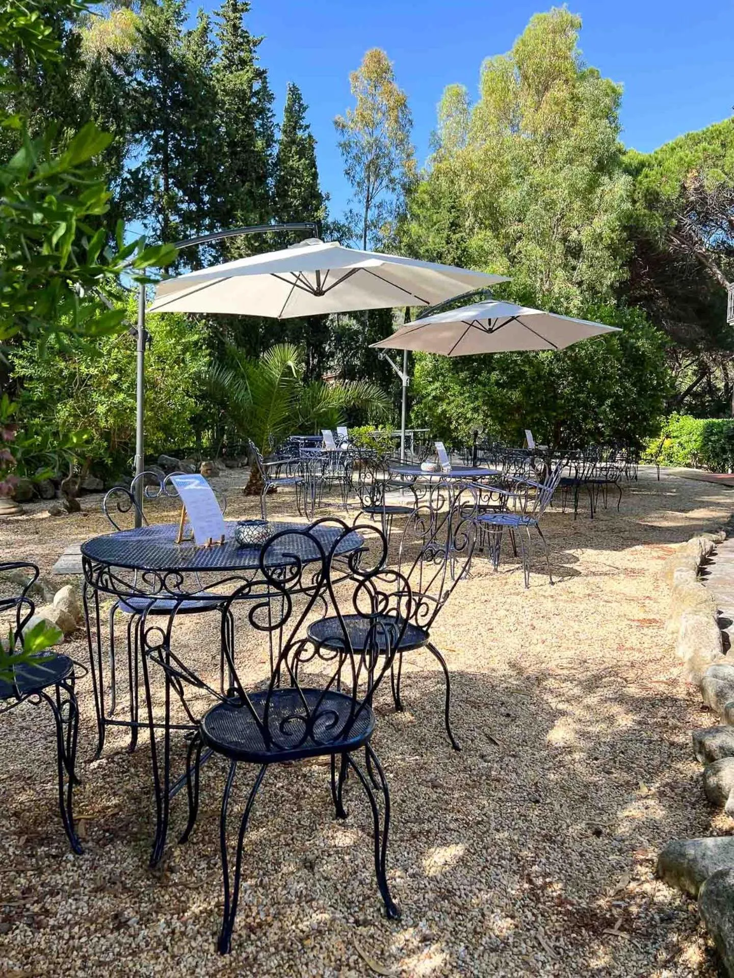 Garden in Hotel Brigantino