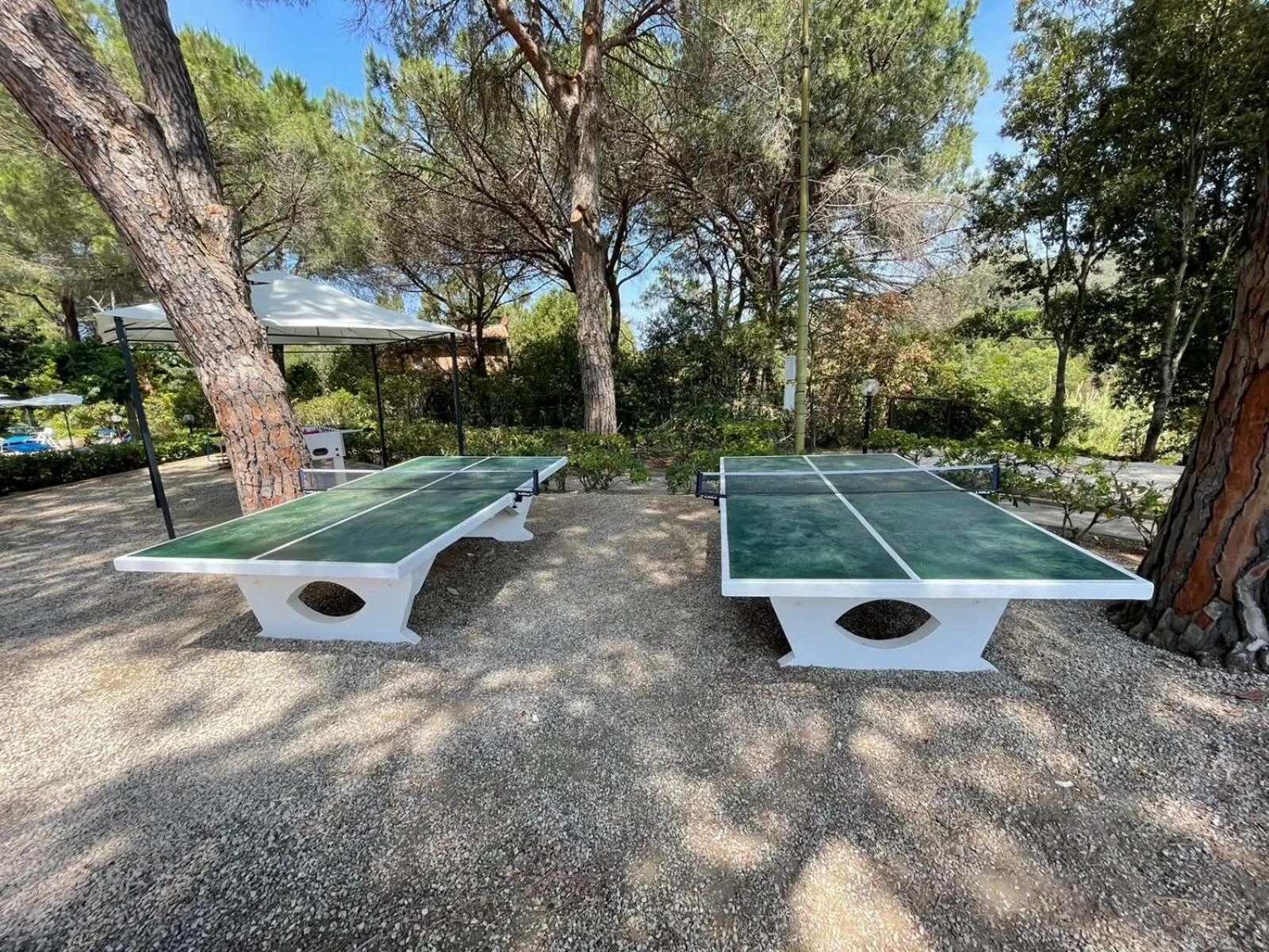 Table tennis in Hotel Brigantino