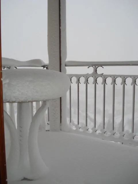 Balcony/Terrace in Alpen House Hotel & Suites