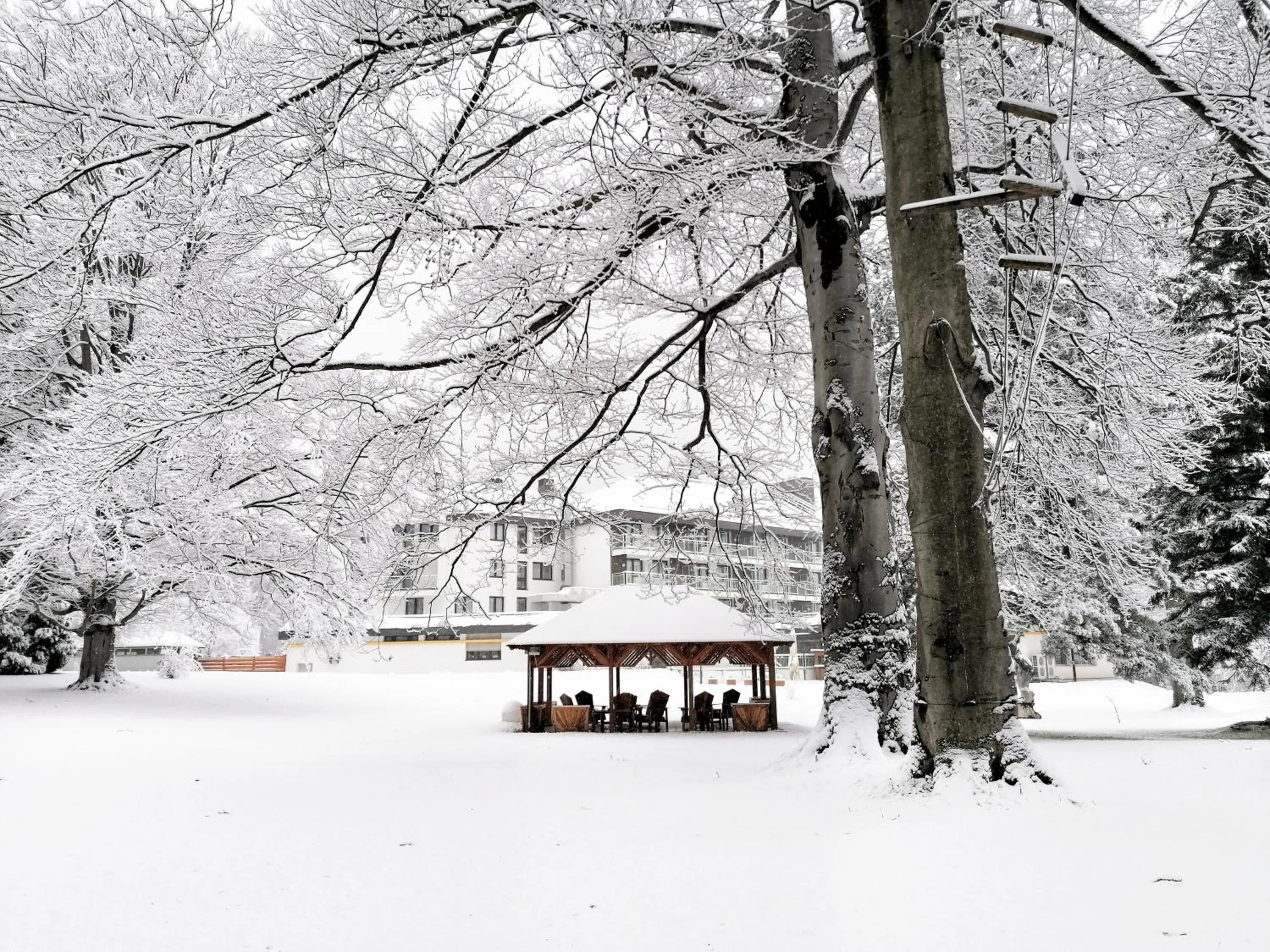 Property building in Parkhotel Hirschwang