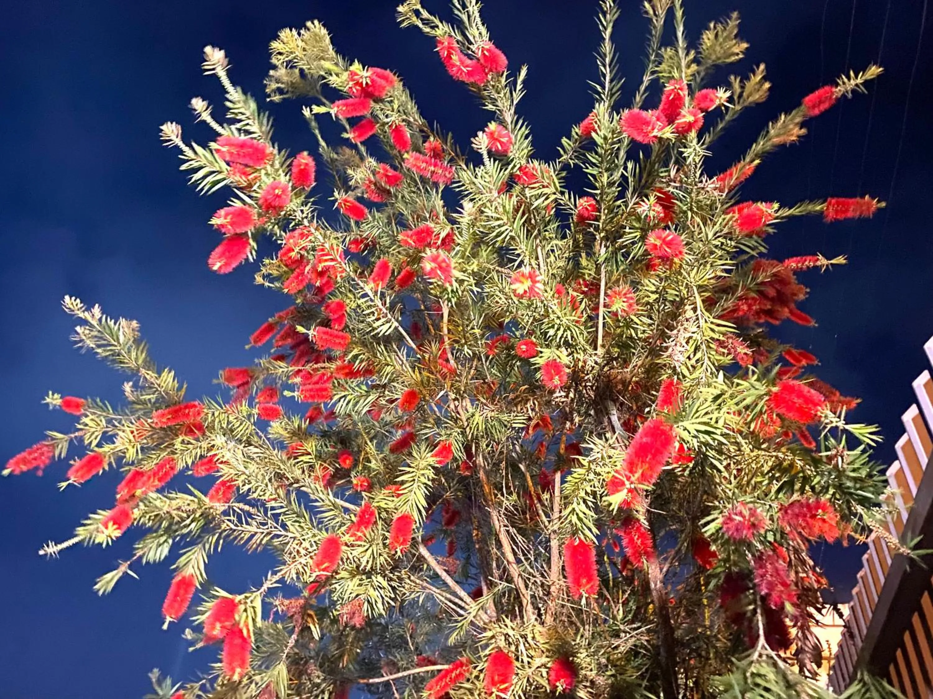 Apart Hotel Angra dos Reis II