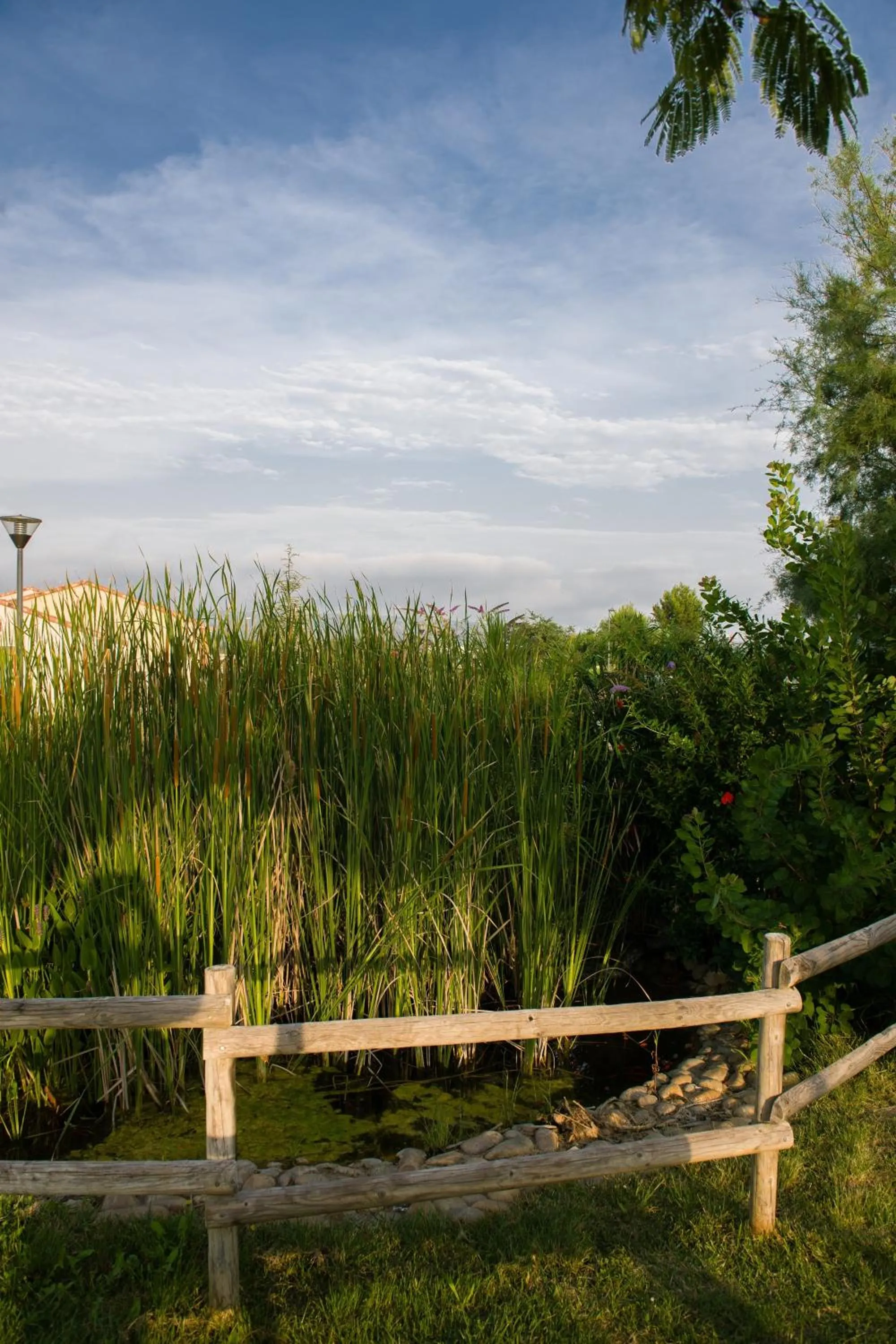 Natural landscape in Le Domaine du Golf*** by Ateya Vacances