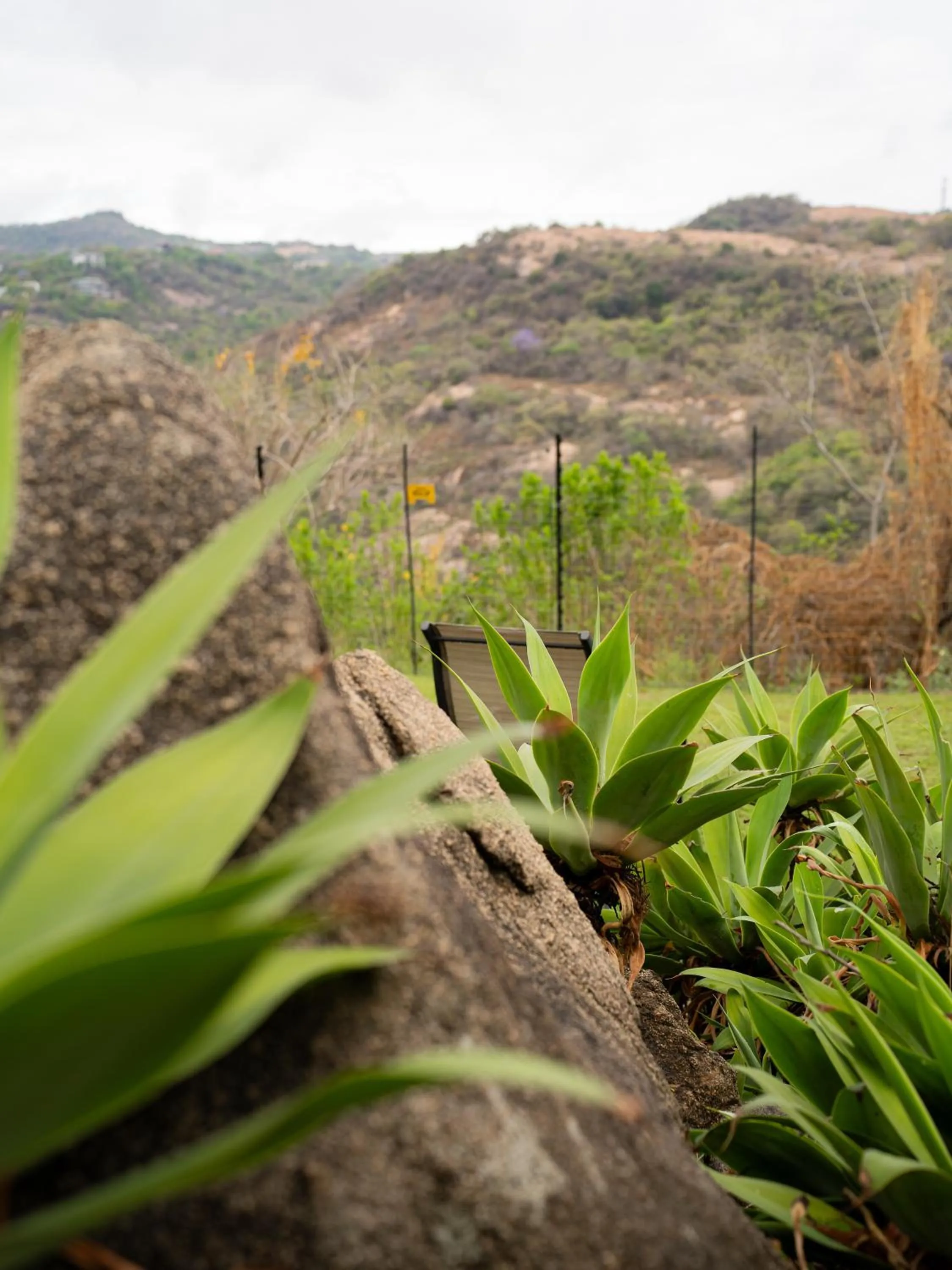 Mountain view in La Roca Guest House