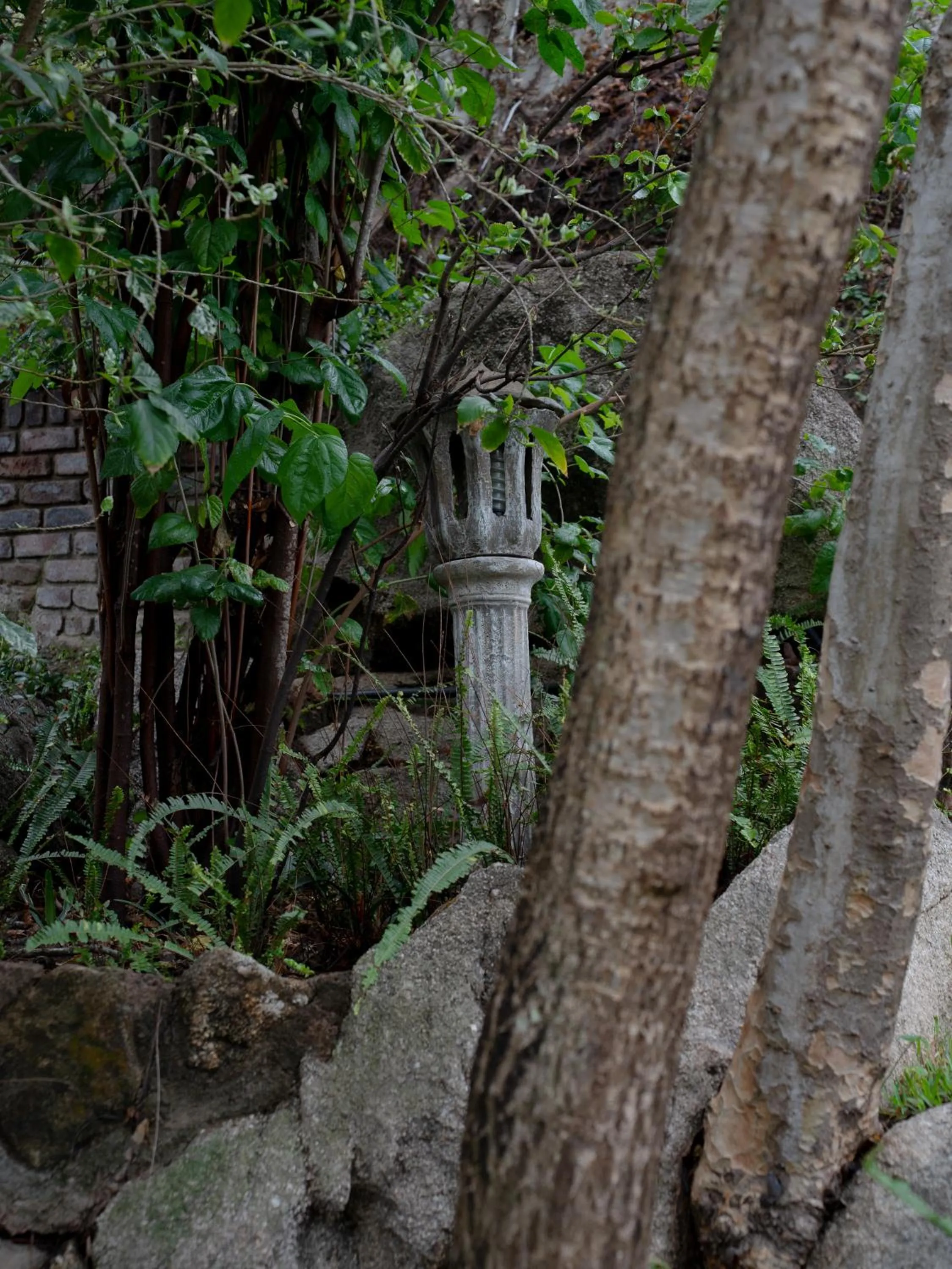 Garden in La Roca Guest House