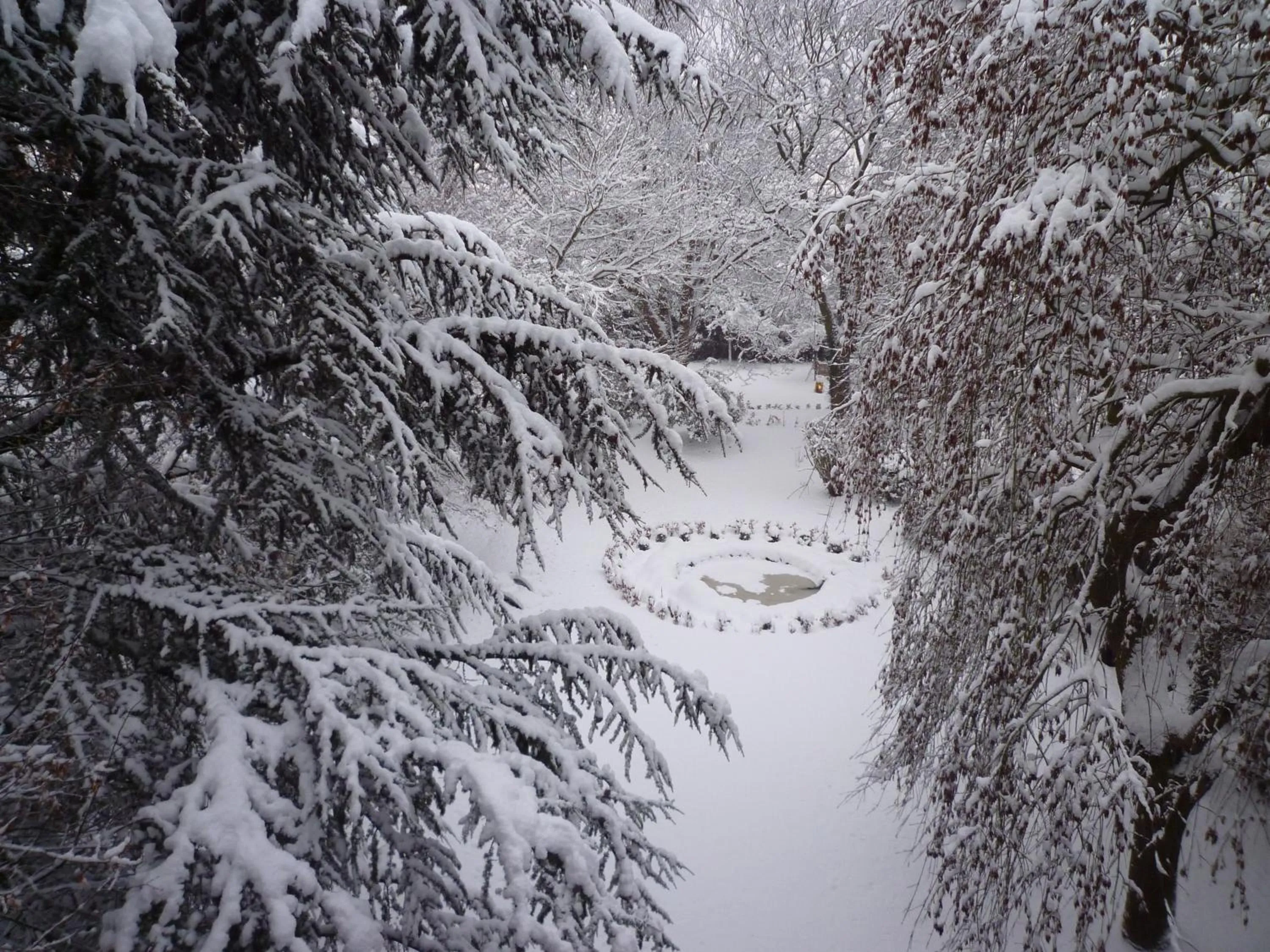 Garden view in Le Grand Duc