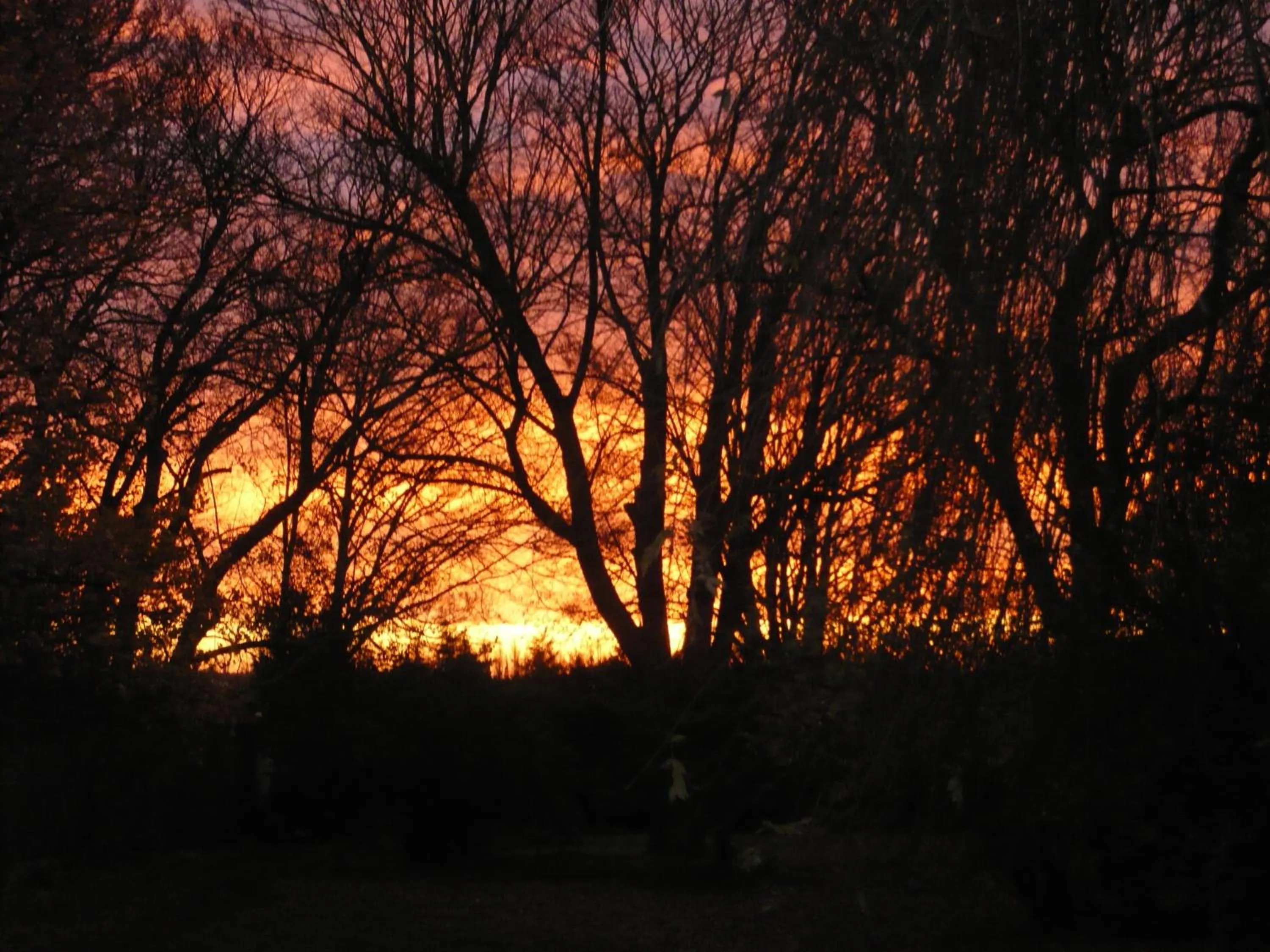 Garden in Le Grand Duc