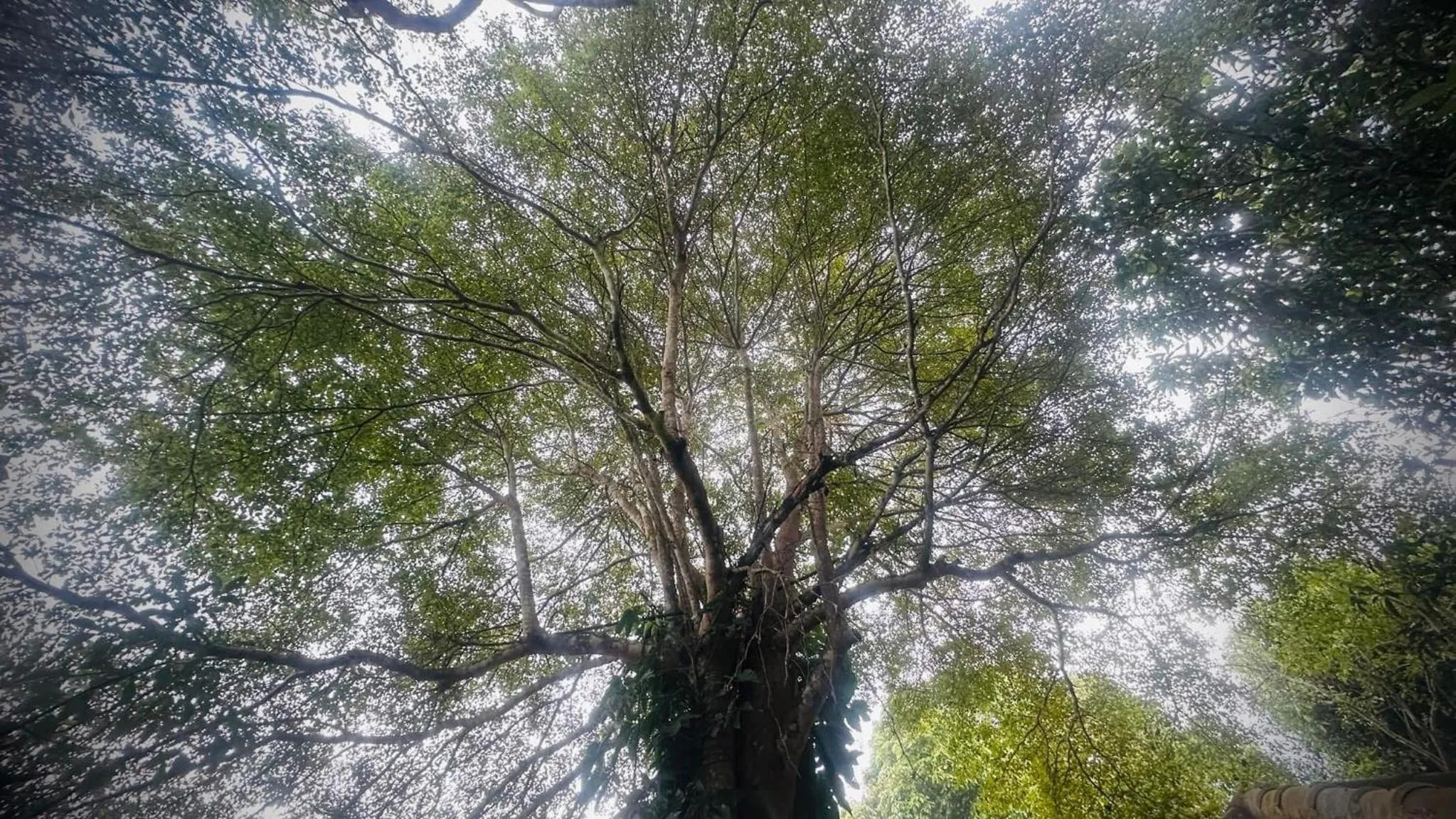 บ้านภทรพรรณ ขุนยวม แม่ฮ่องสอน PATARAPHAN HOUSE, Khunyuam, Maehongson, Thailand