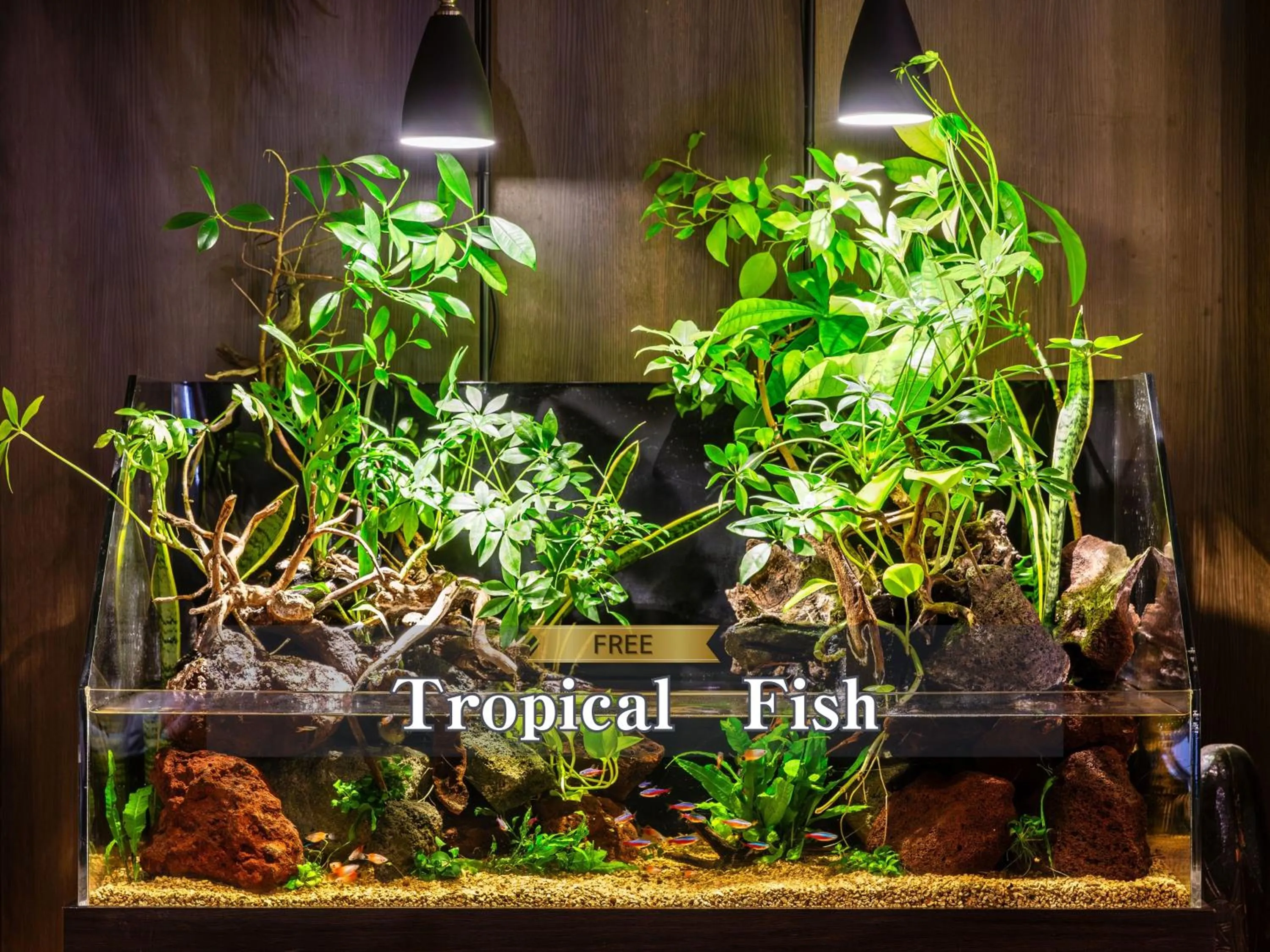 Lobby or reception in Hotel BaliAn Resort Kawasaki