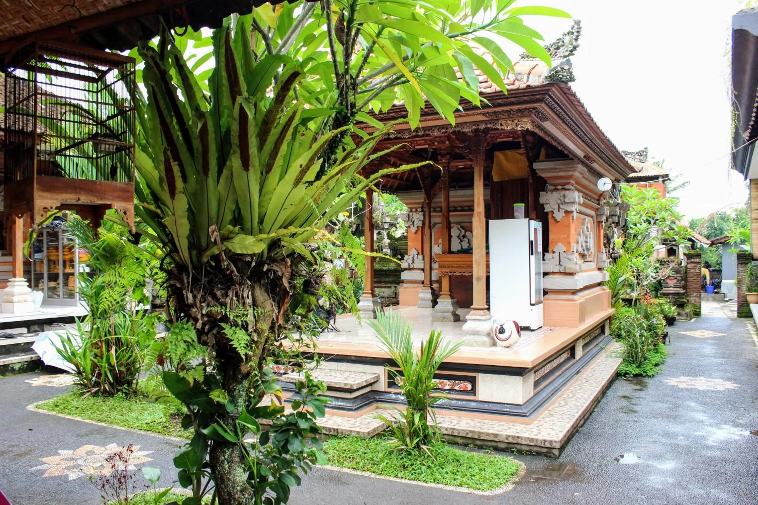Budget Double Room in Zimong House