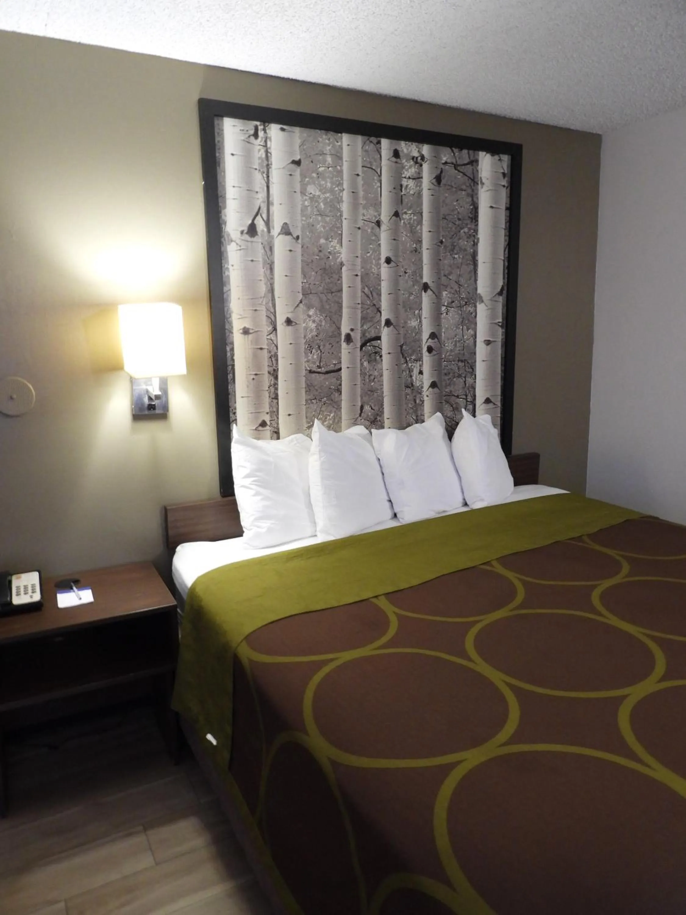 Bed in Super 8 by Wyndham Westminster Denver North