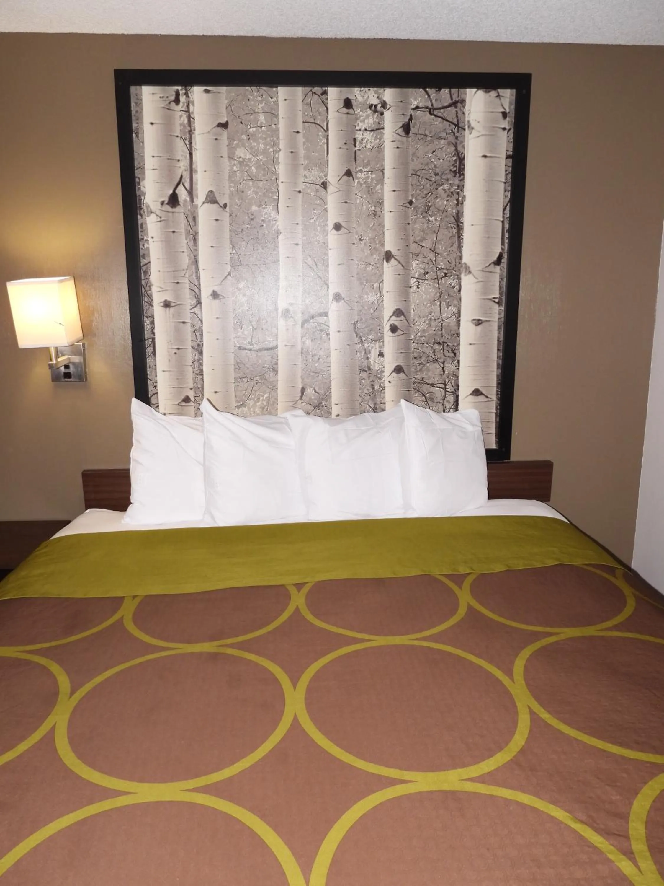 Bed in Super 8 by Wyndham Westminster Denver North