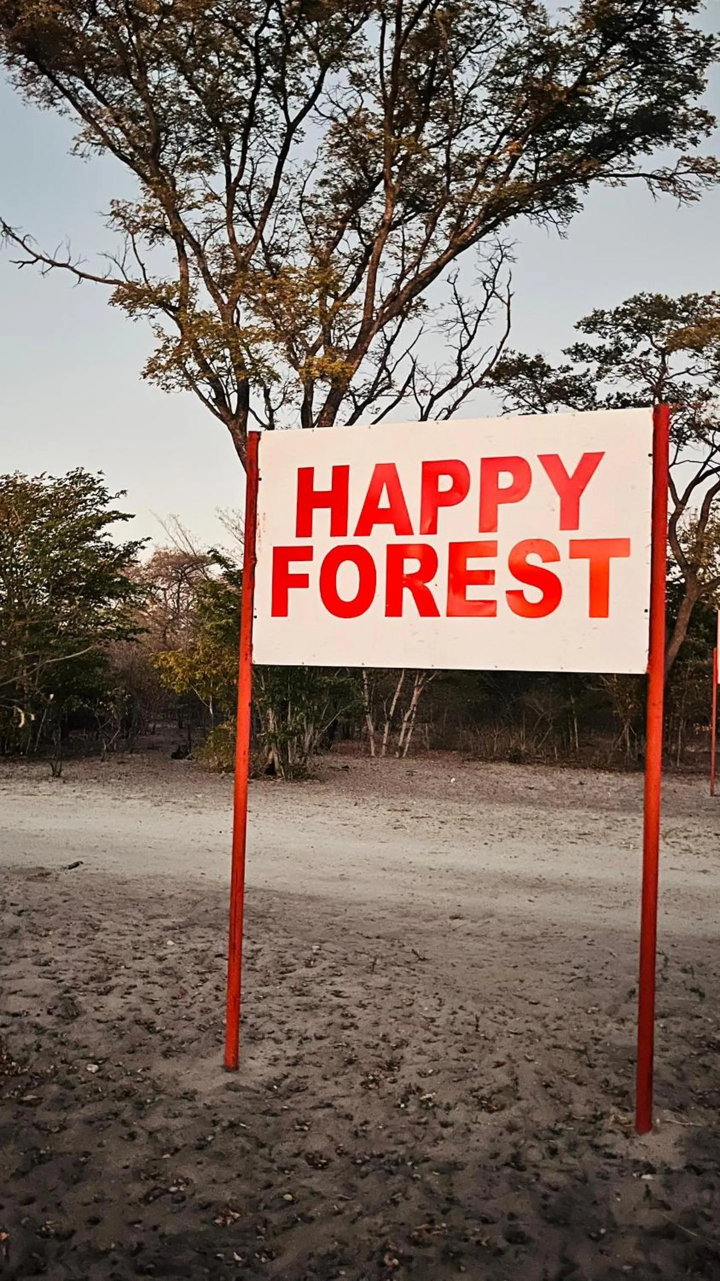 Happy Forest B&B