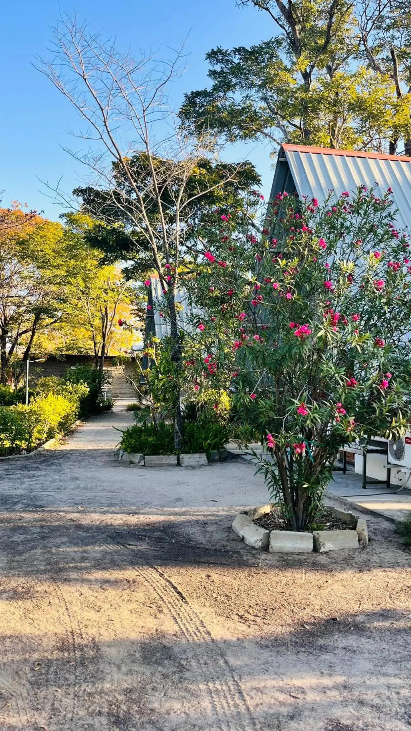 Deluxe Double Room (2 Adults + 1 Child) - single occupancy in Happy Forest B&B Deluxe Double Room (2 Adults + 1 Child) - single occupancy in Happy Forest B&B