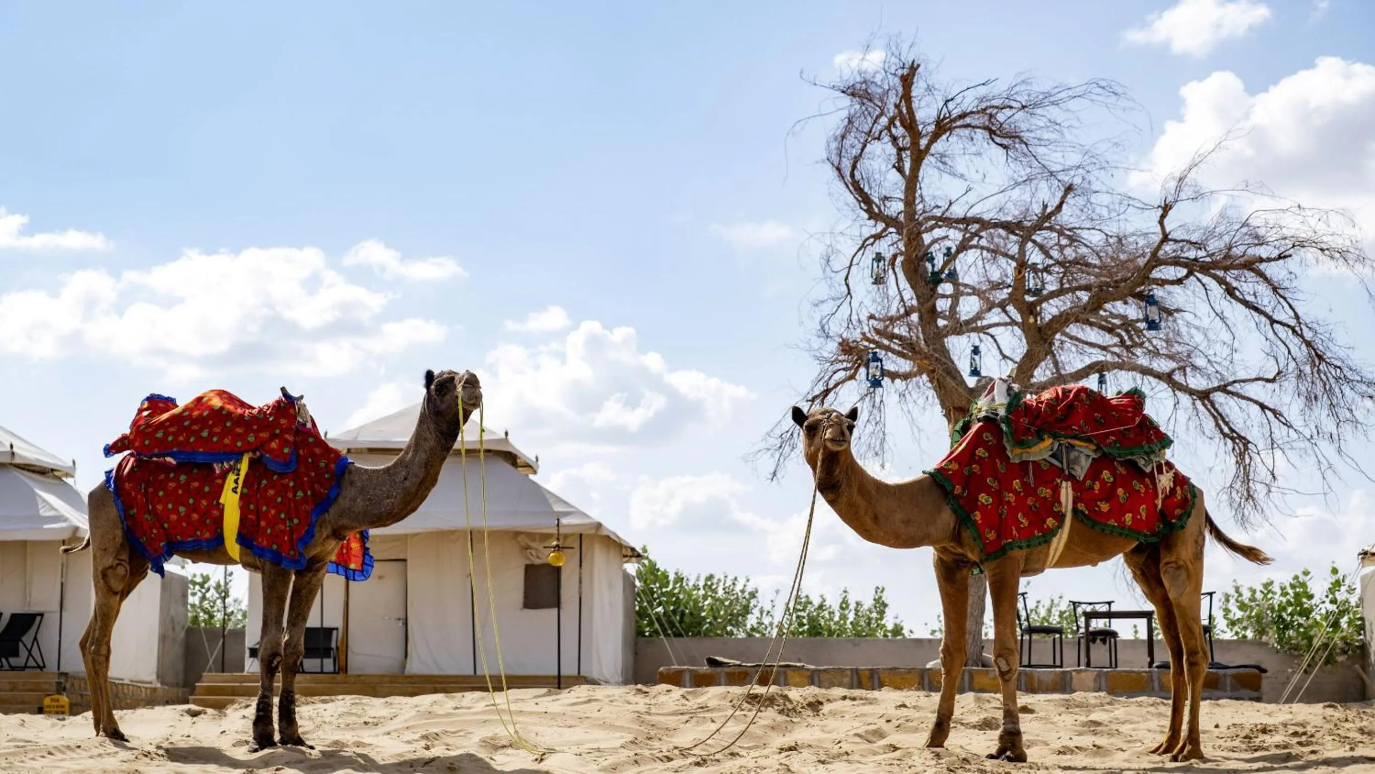 Activities in Sultan Resort