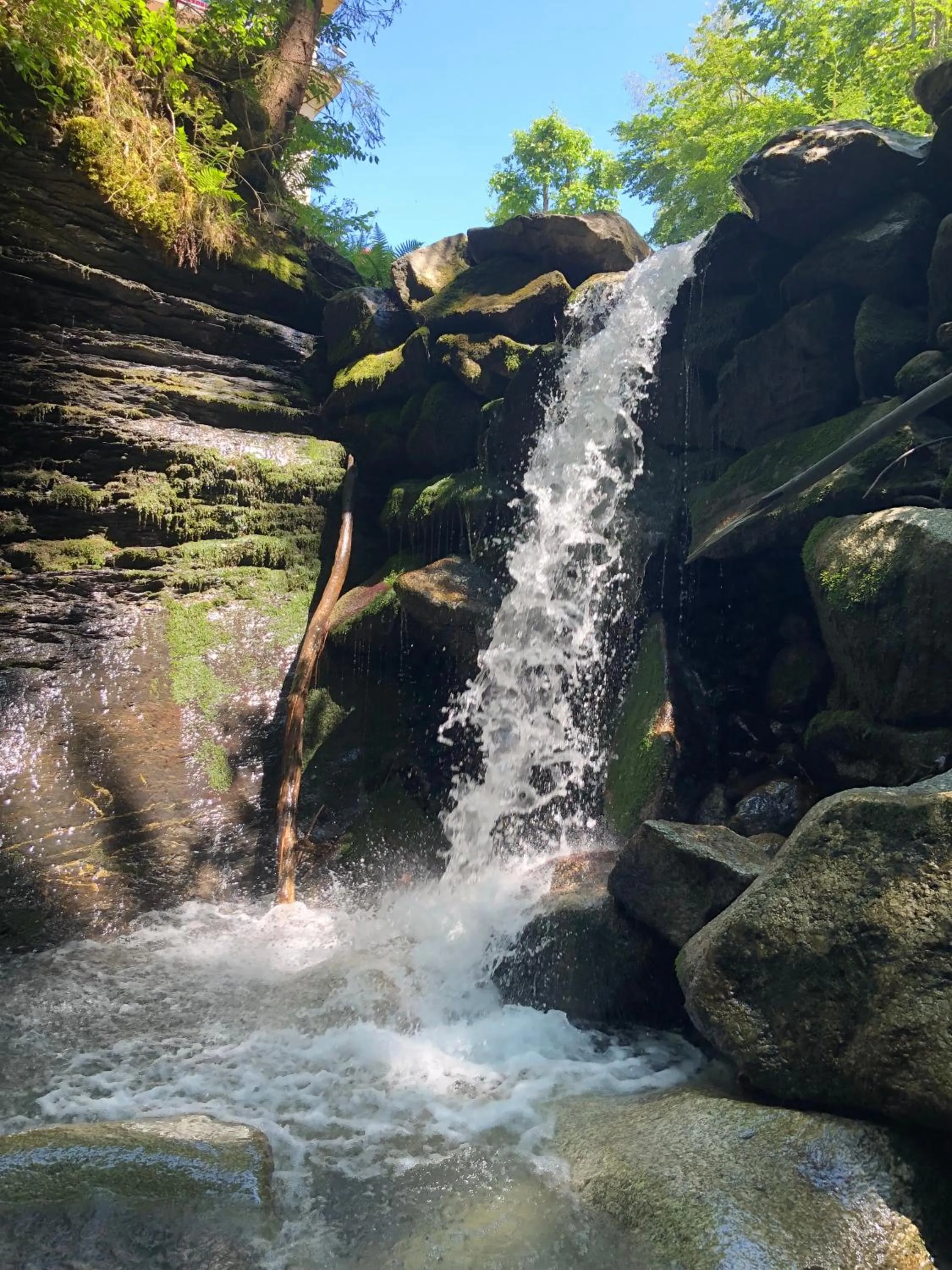 Garden in Le Moulin des Olirics