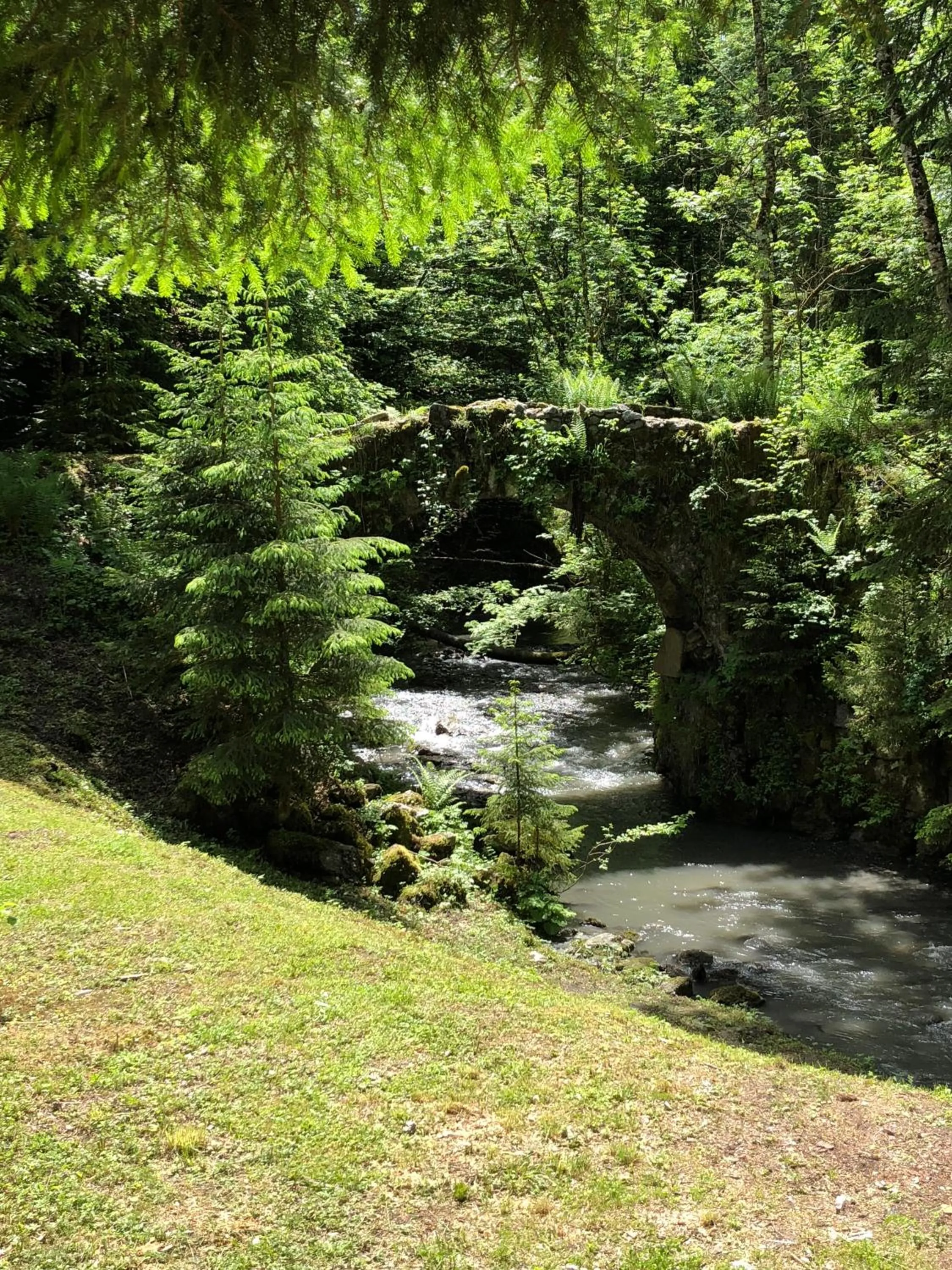 Garden in Le Moulin des Olirics