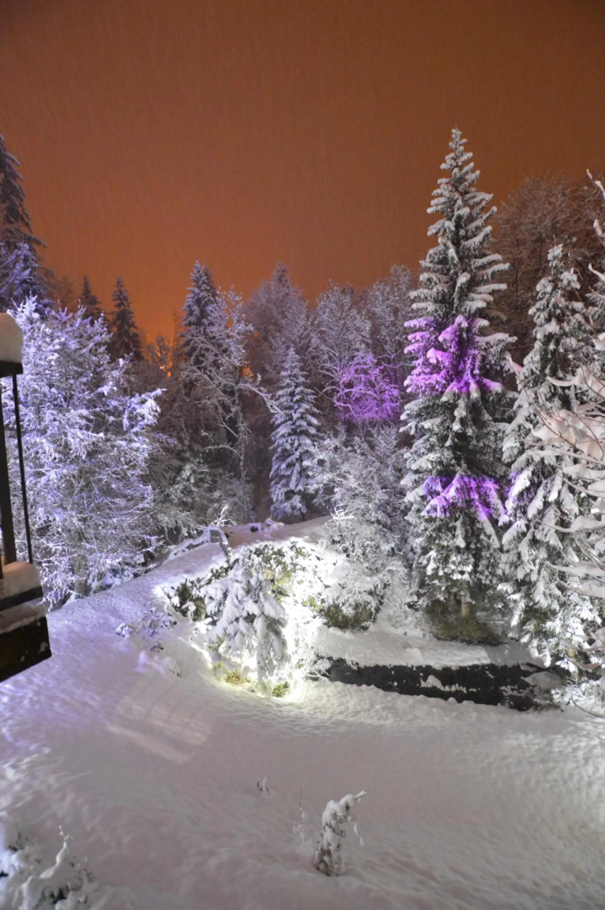 Garden in Le Moulin des Olirics