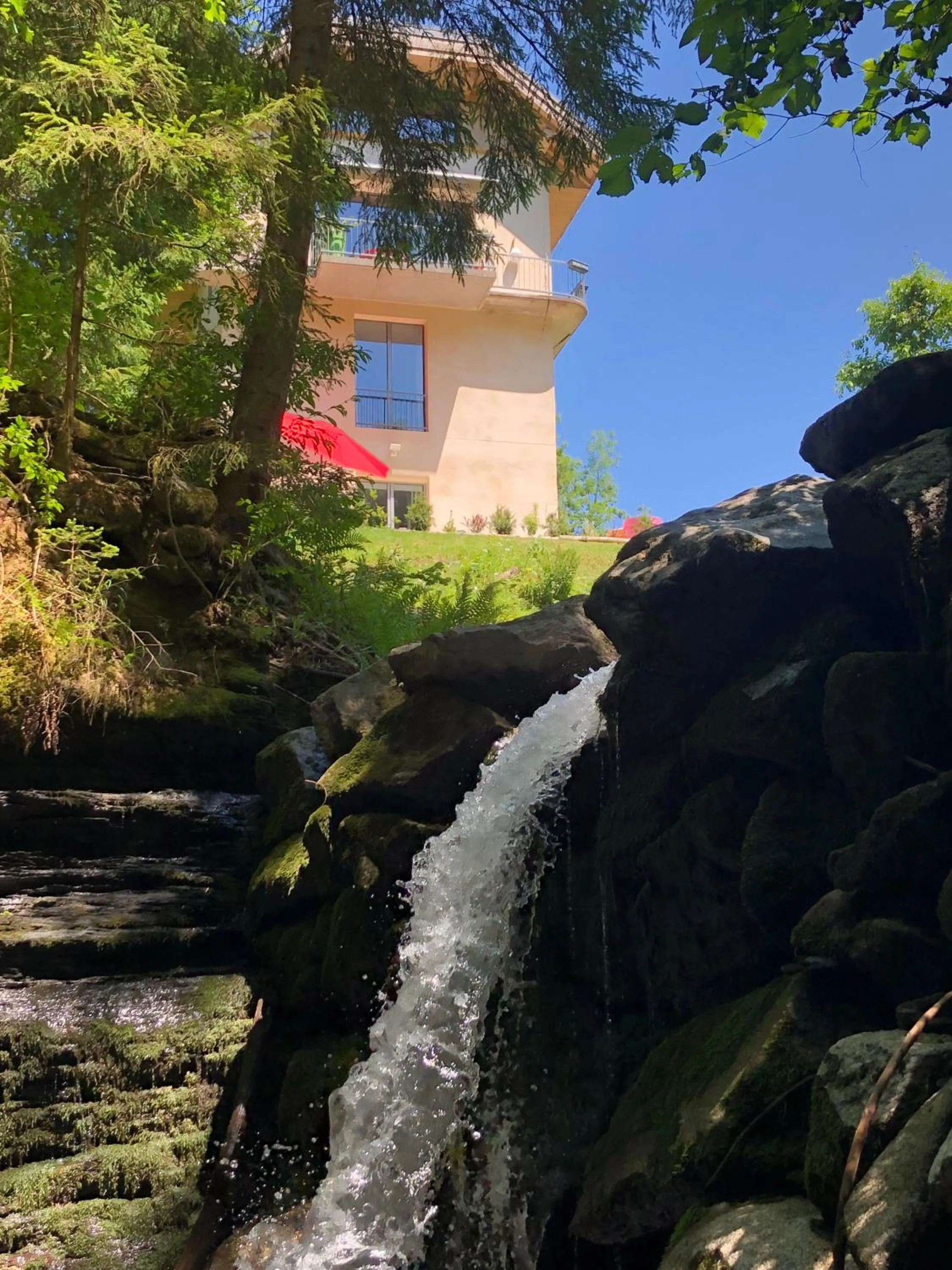 Garden in Le Moulin des Olirics