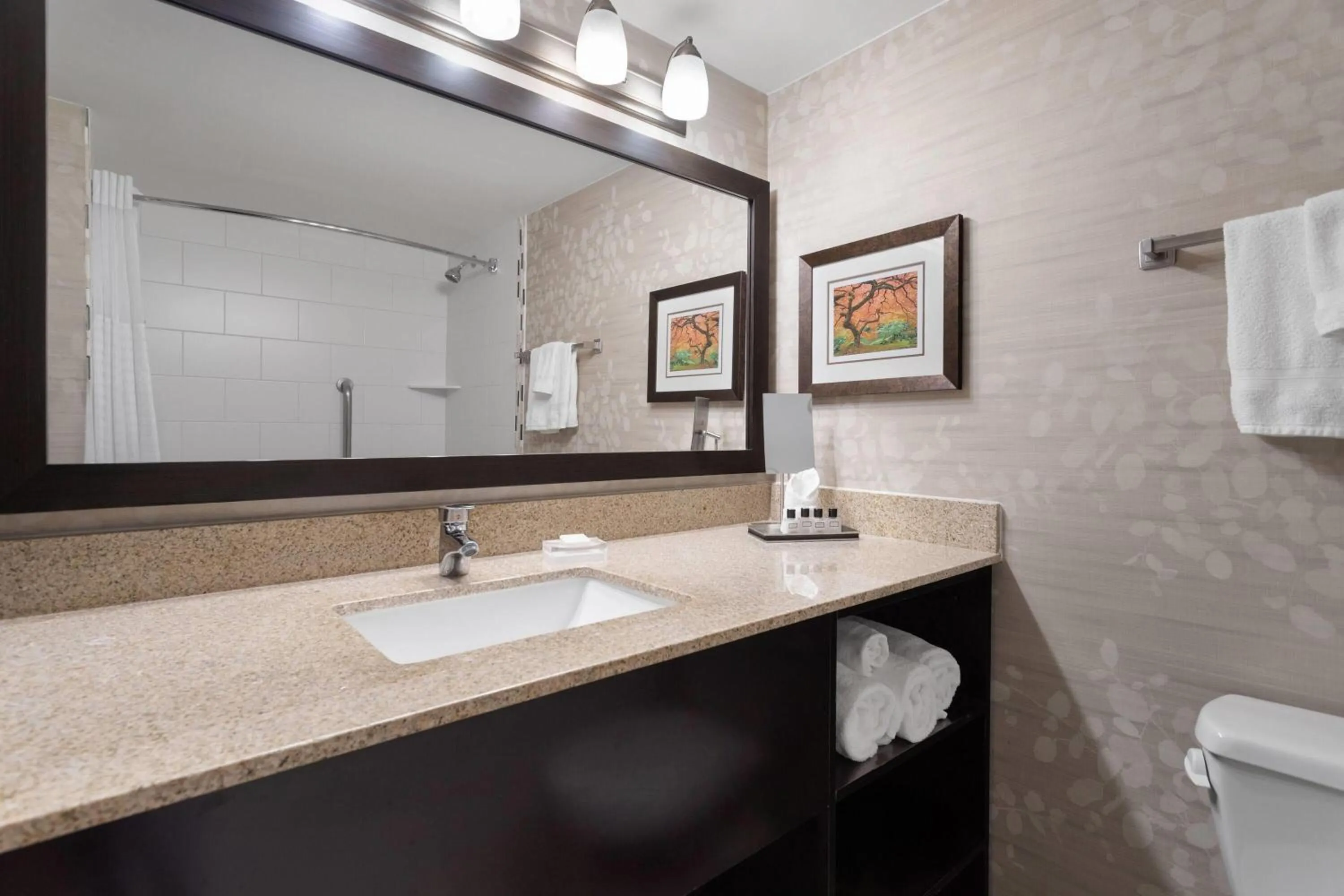 Bathroom in Wyndham Minneapolis South Burnsville
