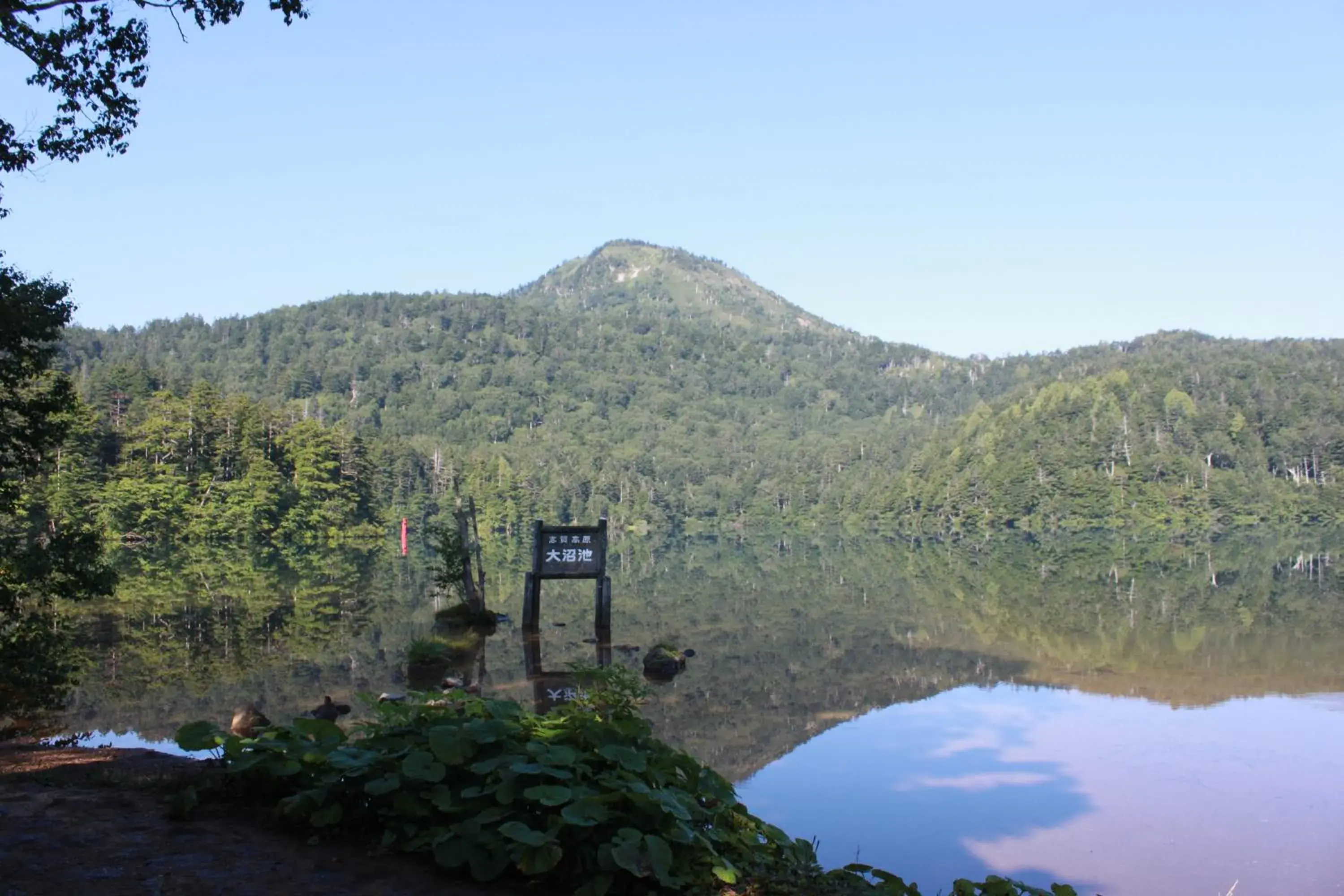 Nearby landmark, Mountain View in Bozanso