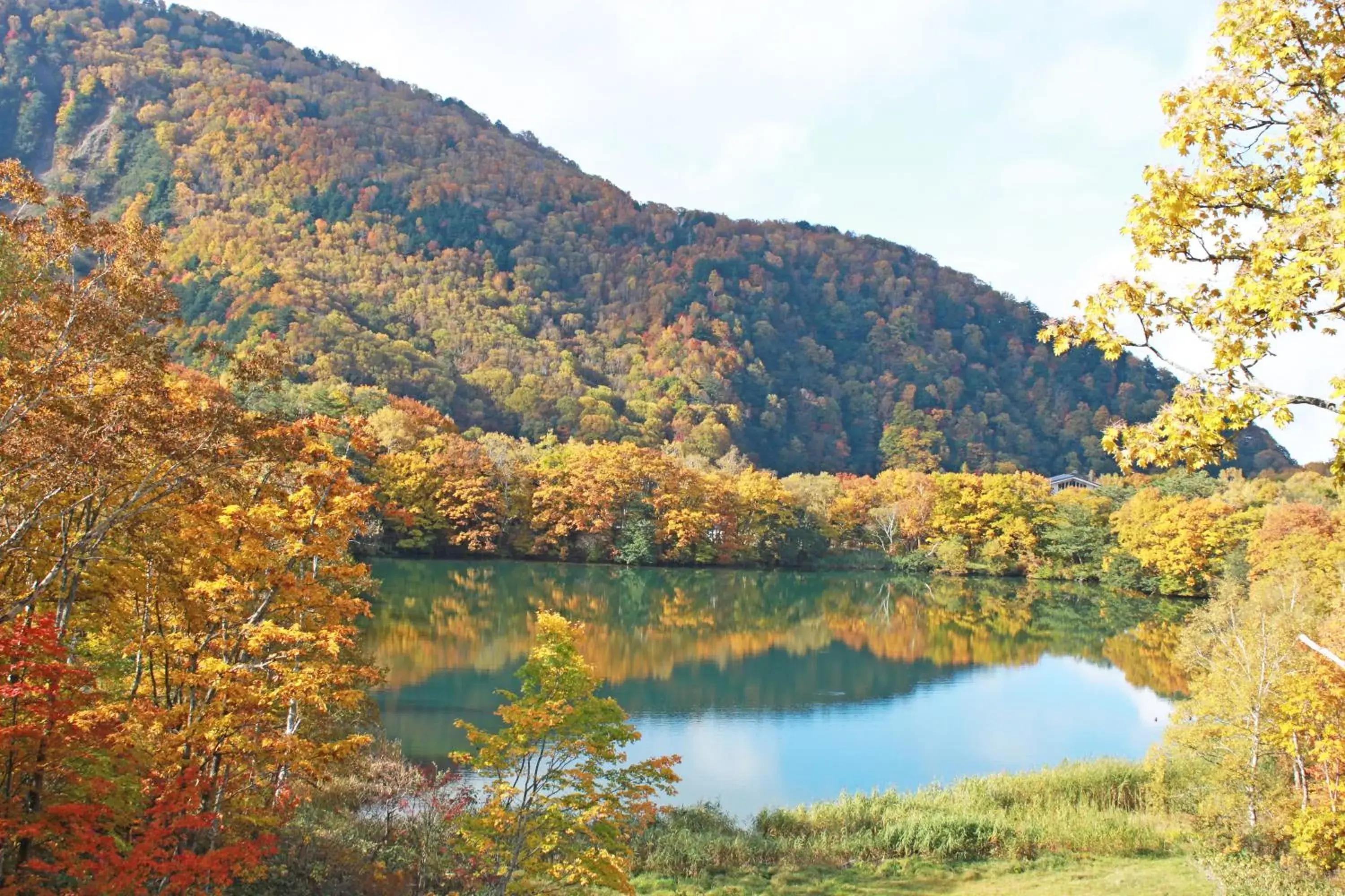 Nearby landmark, Natural Landscape in Bozanso