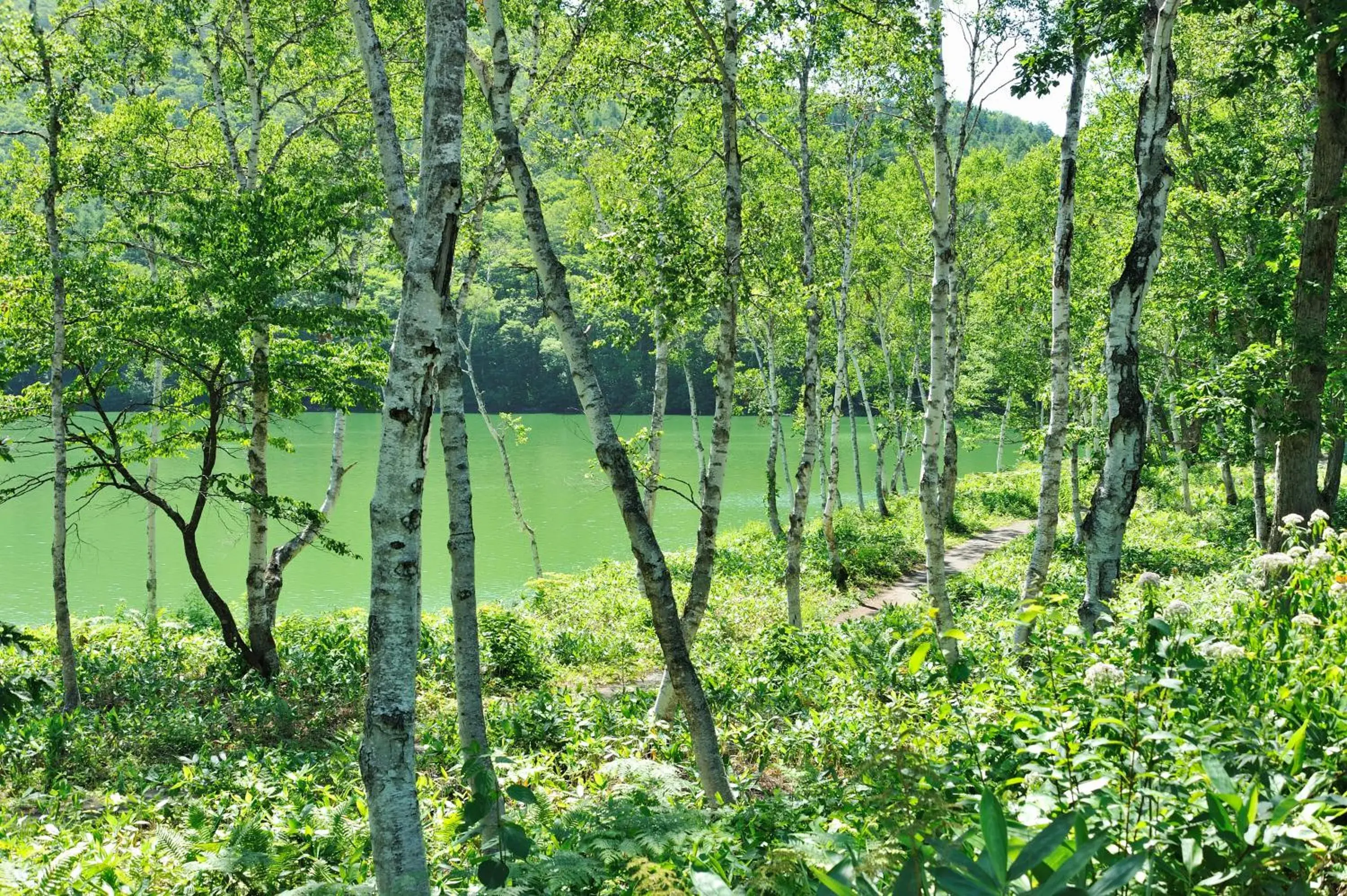 Nearby landmark, Natural Landscape in Bozanso