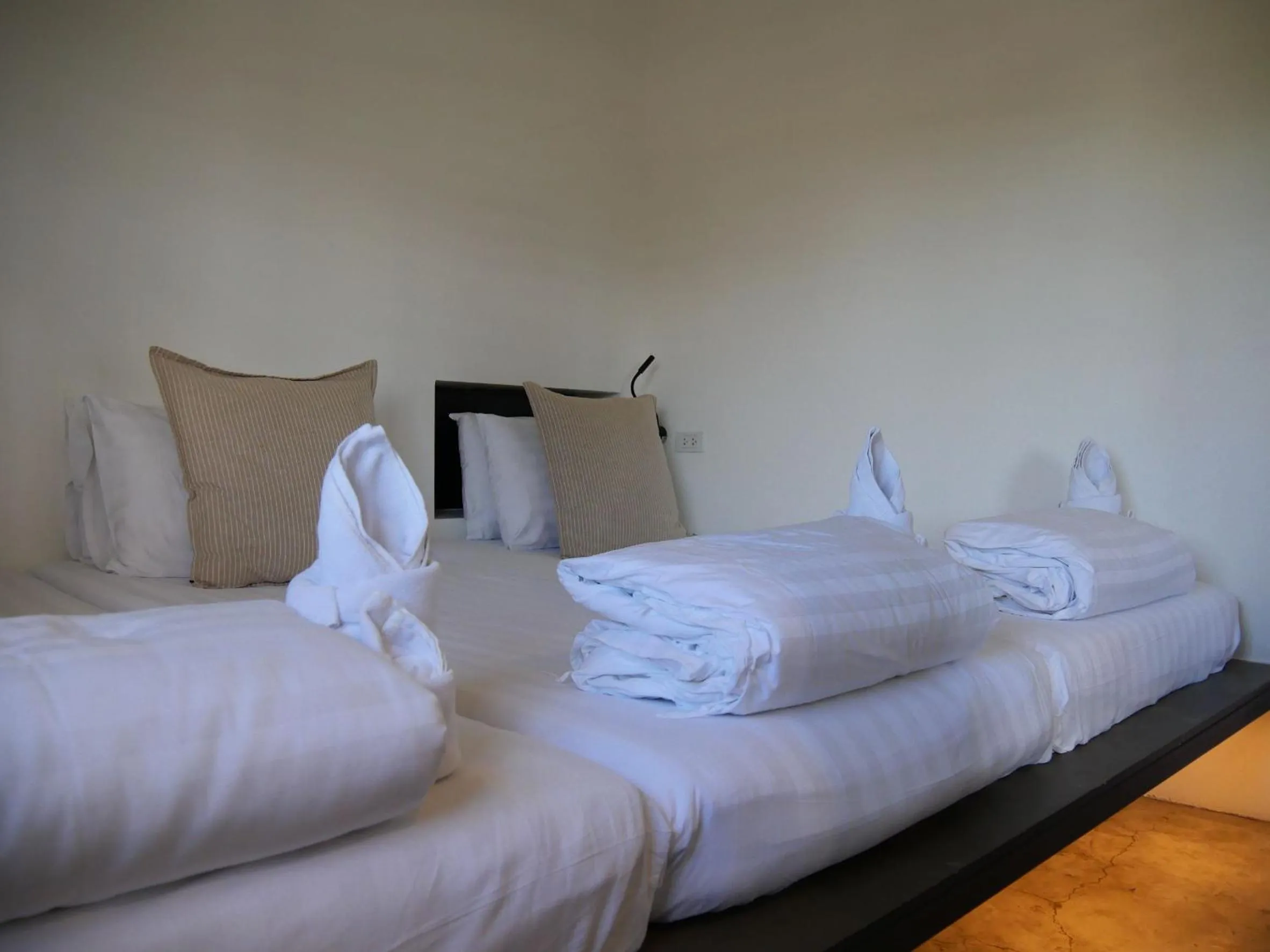 Bed in Book a Bed Poshtel - SHA Plus