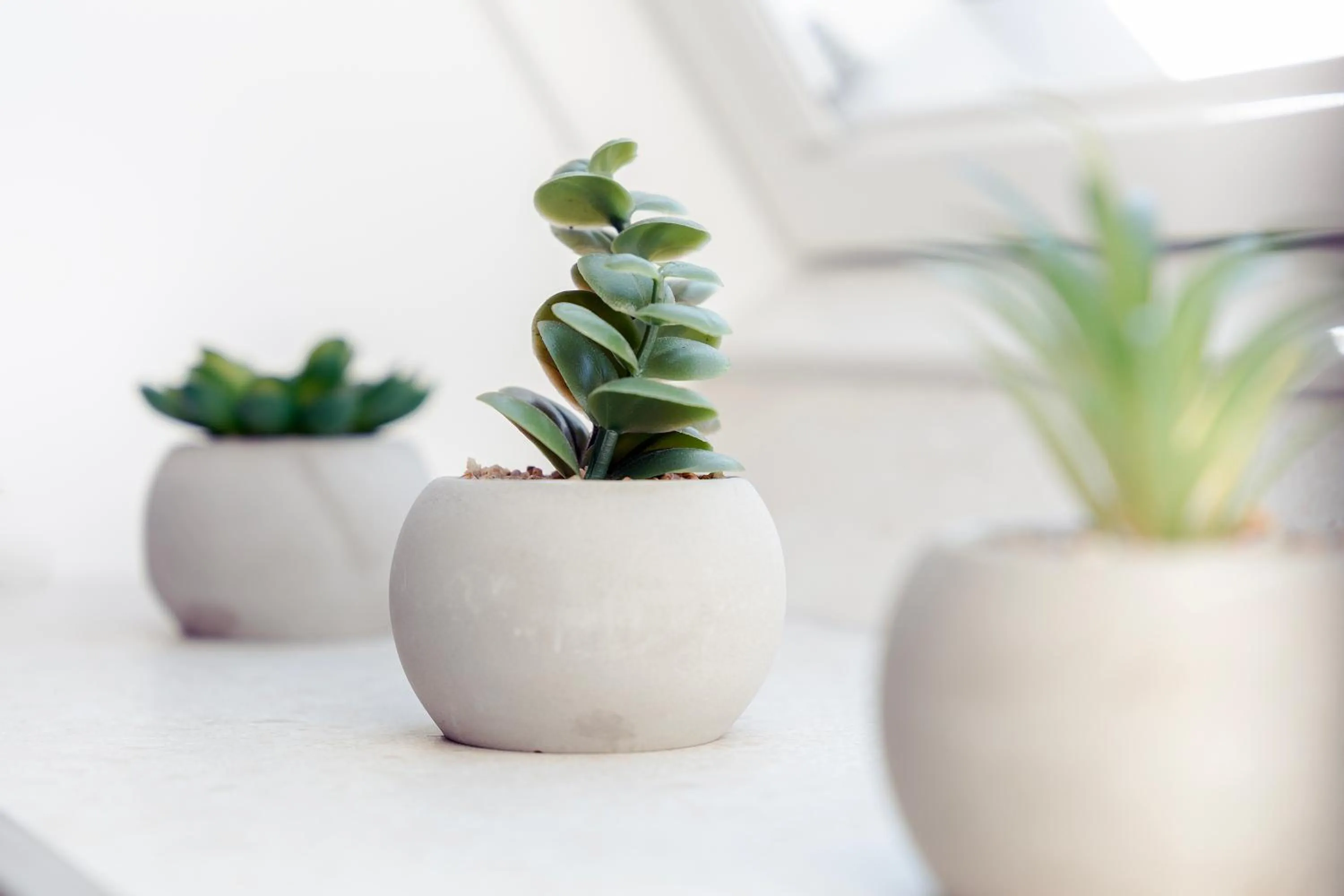 Bathroom in Hotel Orion