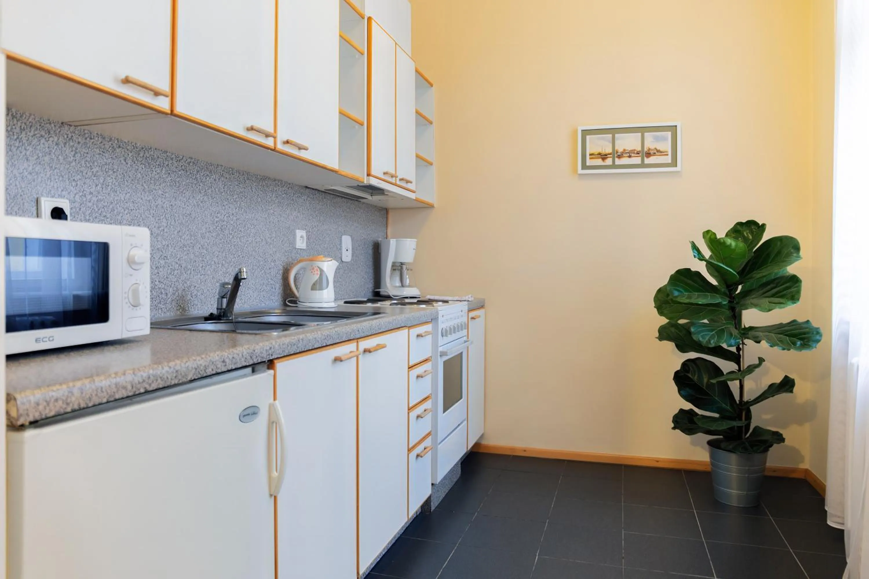 kitchen in Hotel Orion