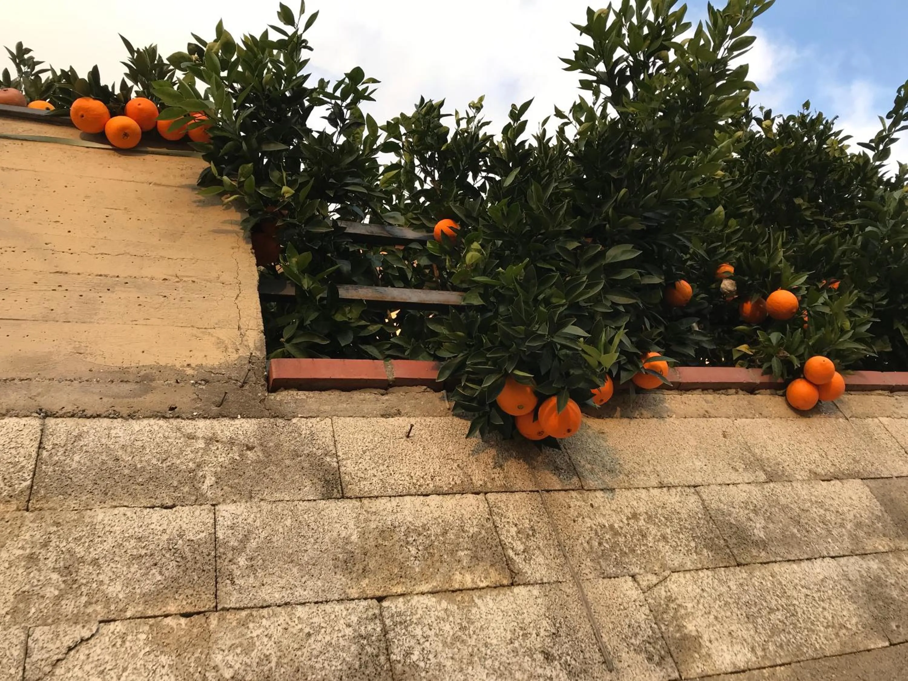 B&B e Locazioni Turistiche Antico Borgo Toscano