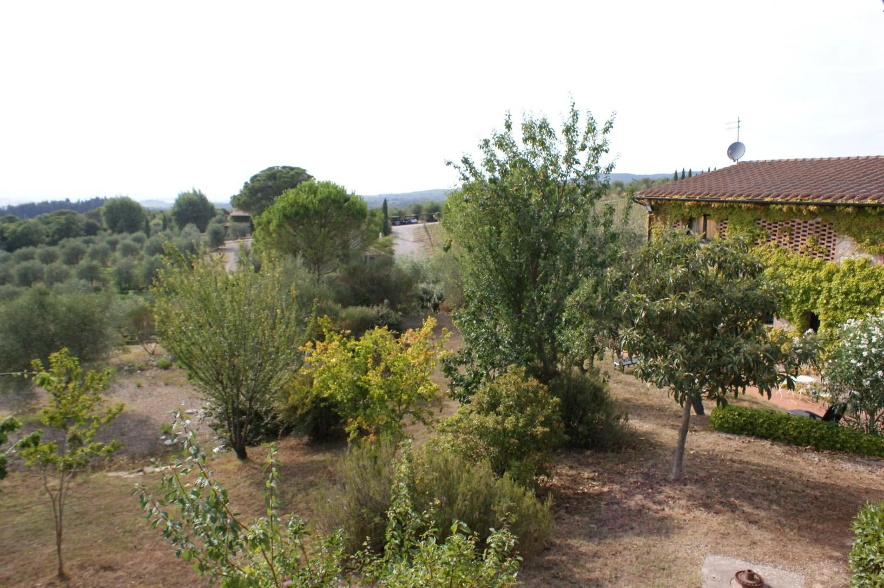 Garden in Casa Lucia in Chianti