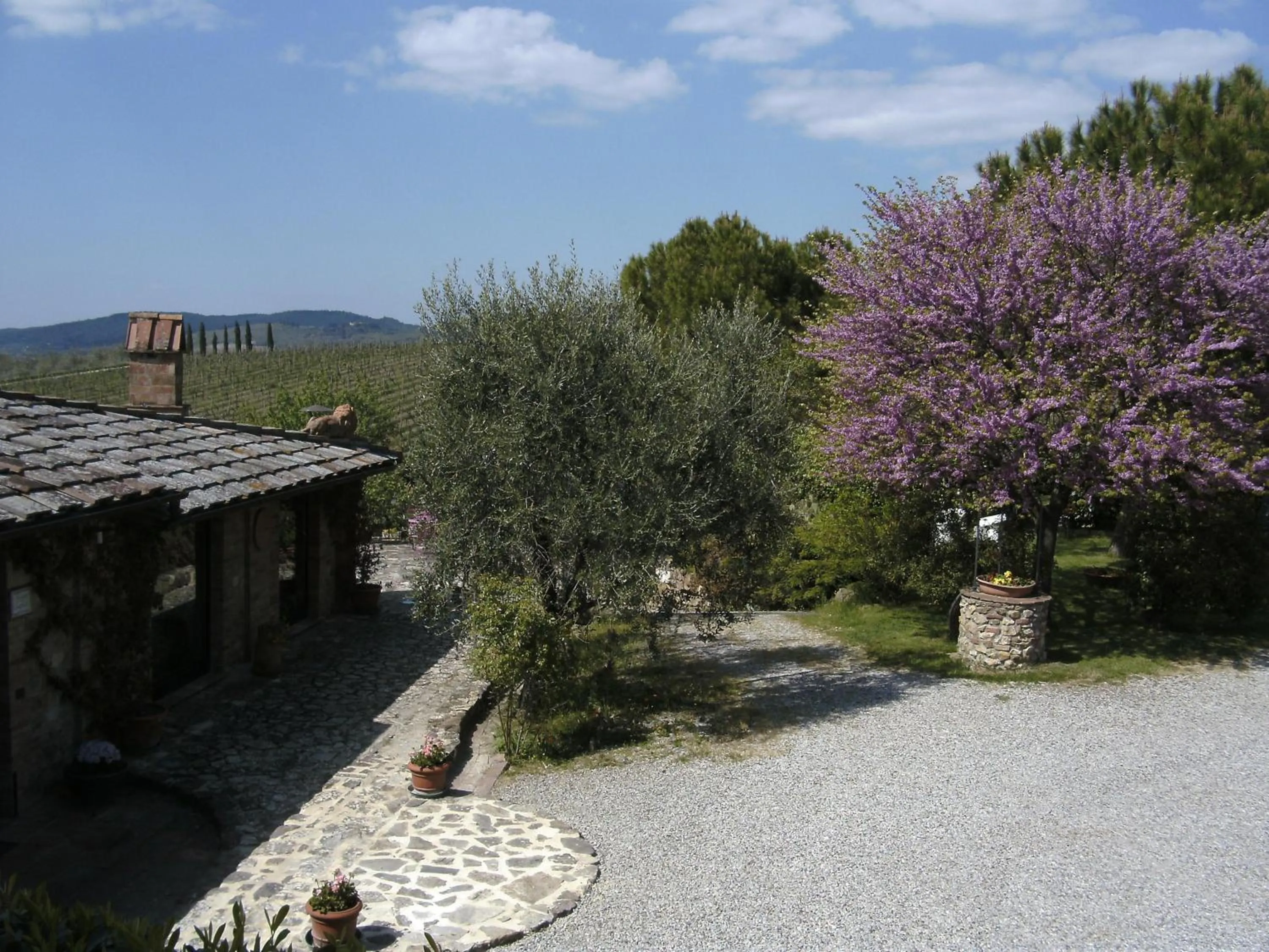 View (from property/room) in Casa Lucia in Chianti