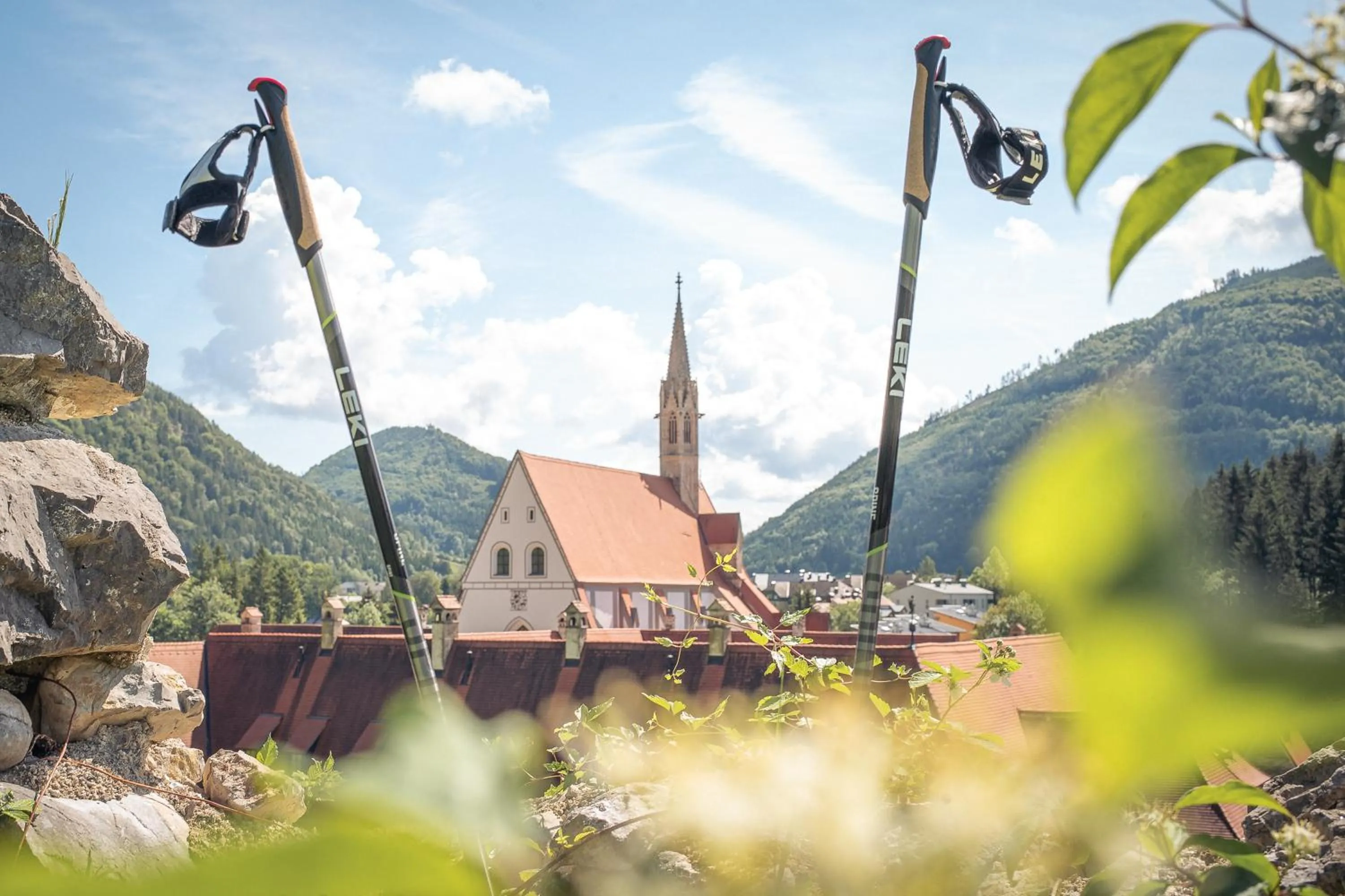 Natural landscape in Hotel Kartause