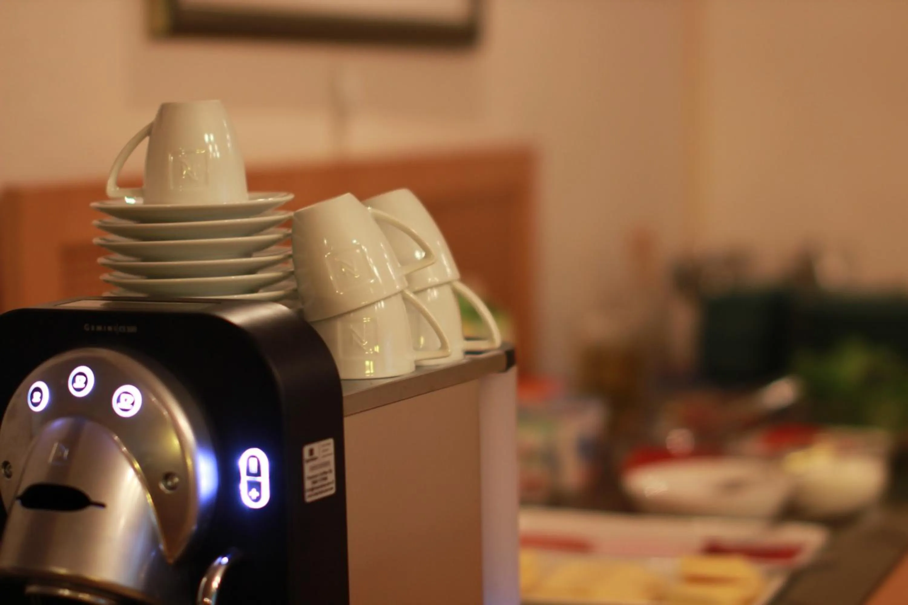 Restaurant/places to eat in Hotel Fjalar