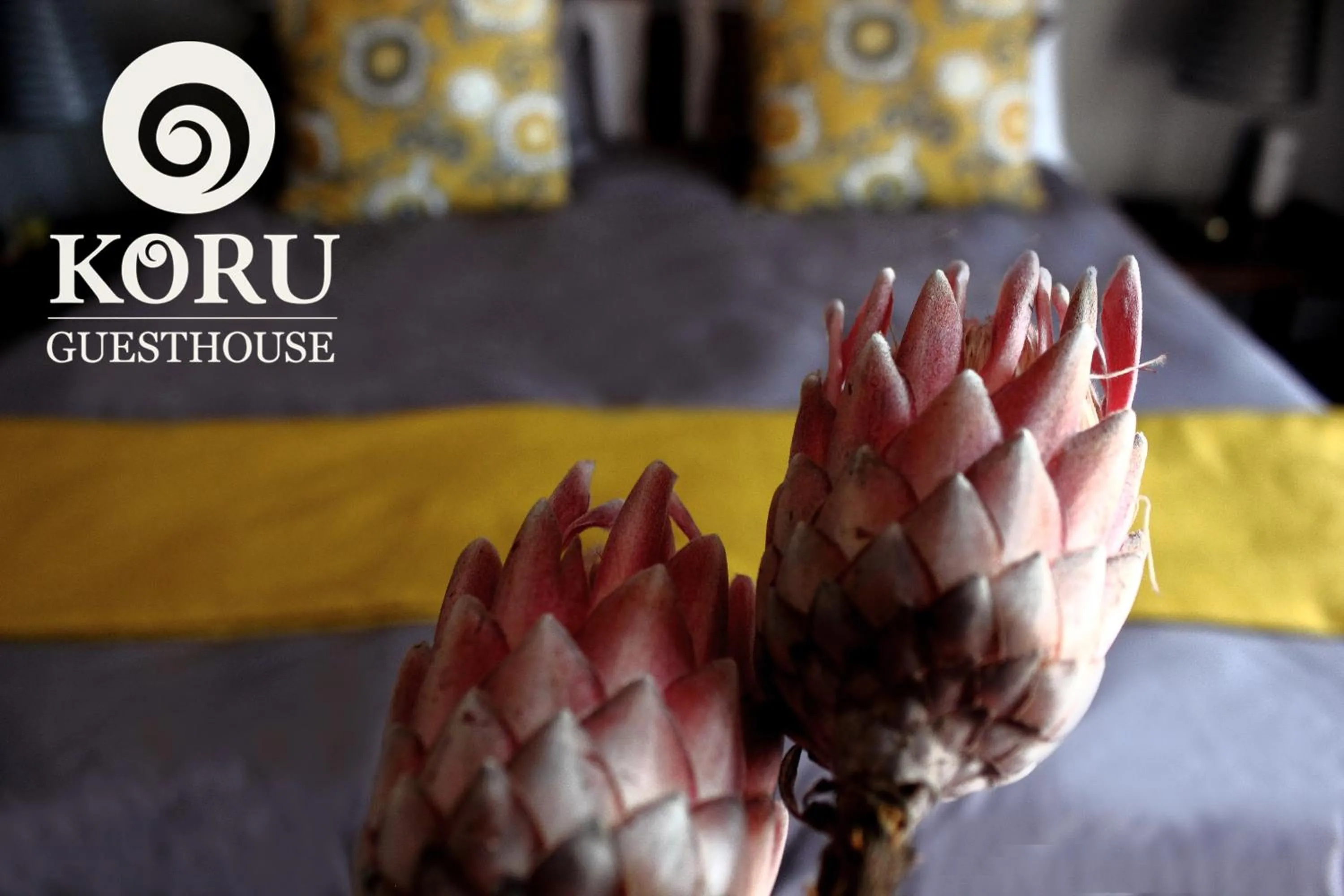 Deluxe King Suite - single occupancy in Koru Guesthouse