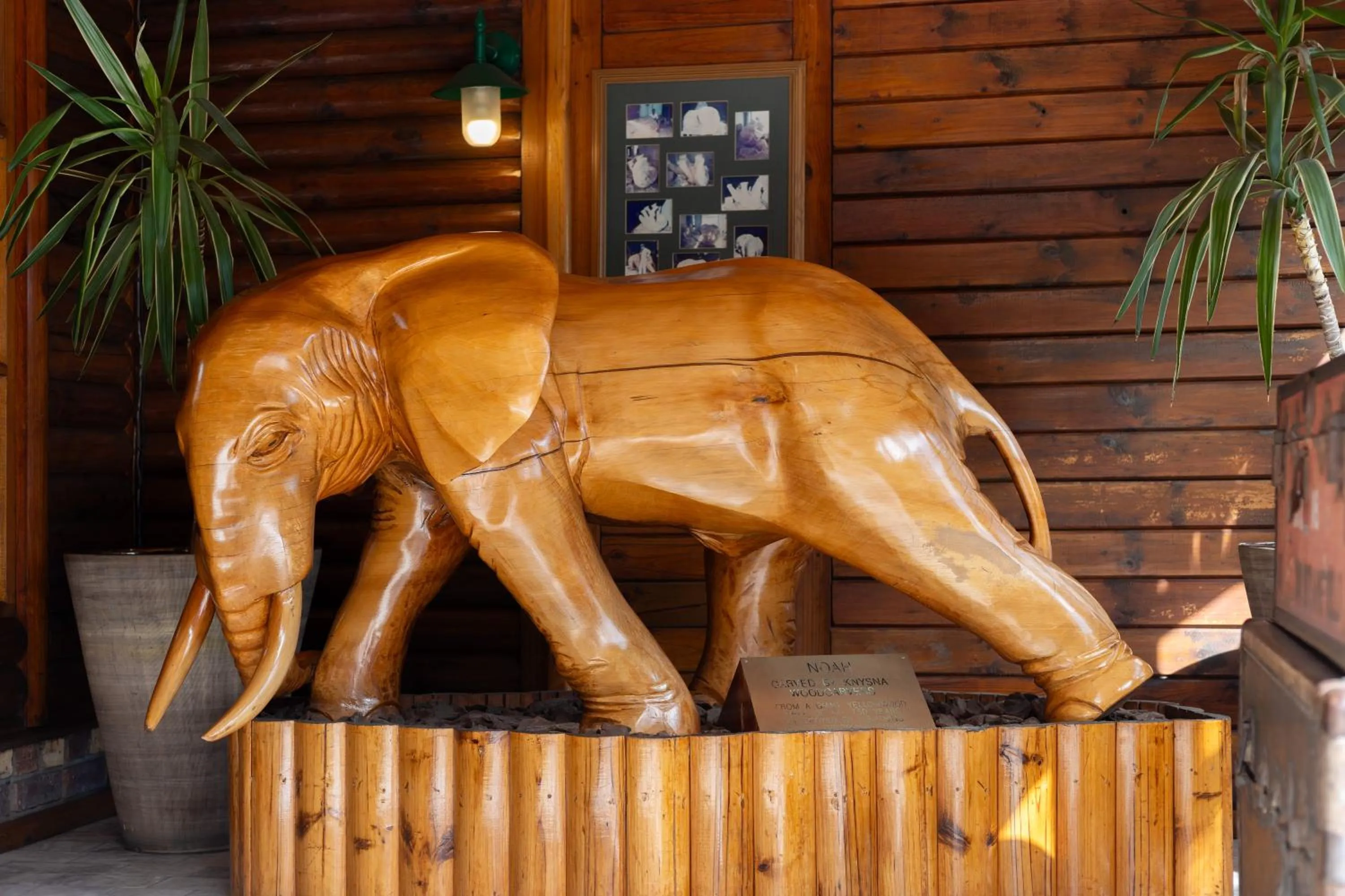 Decorative detail in Knysna Log-Inn Hotel