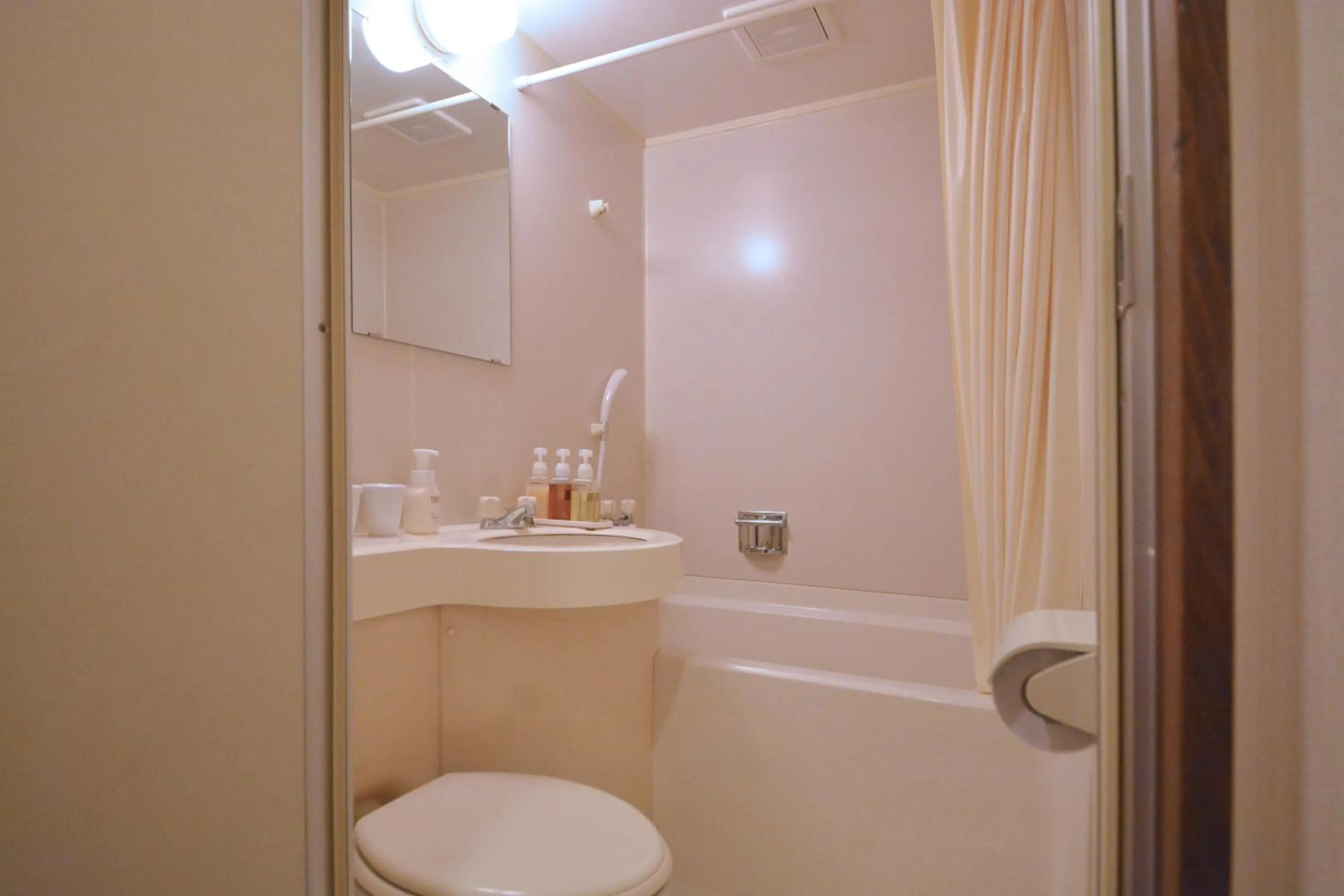 Toilet in Nikko Tokinoyuu